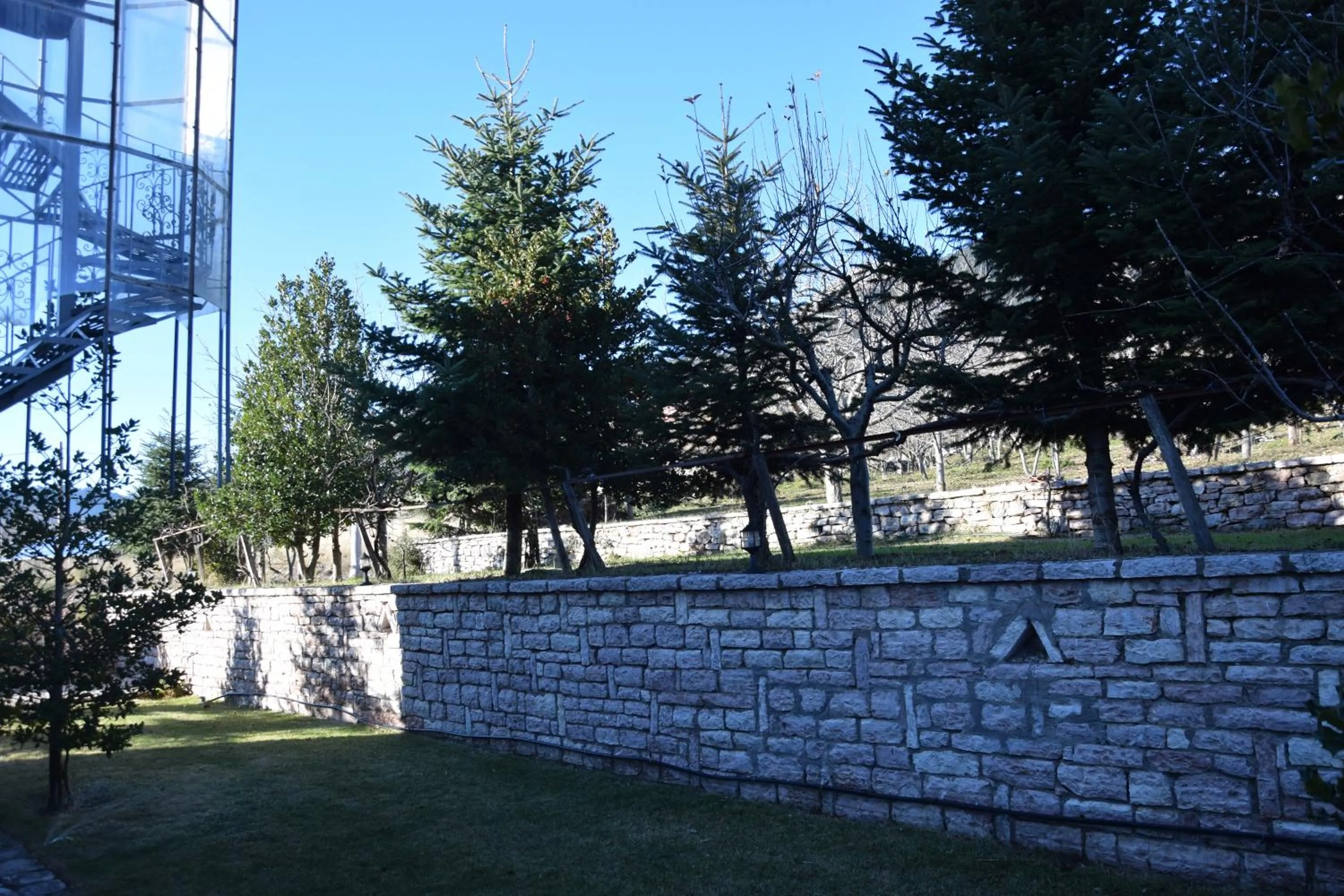 Garden in Mountain House