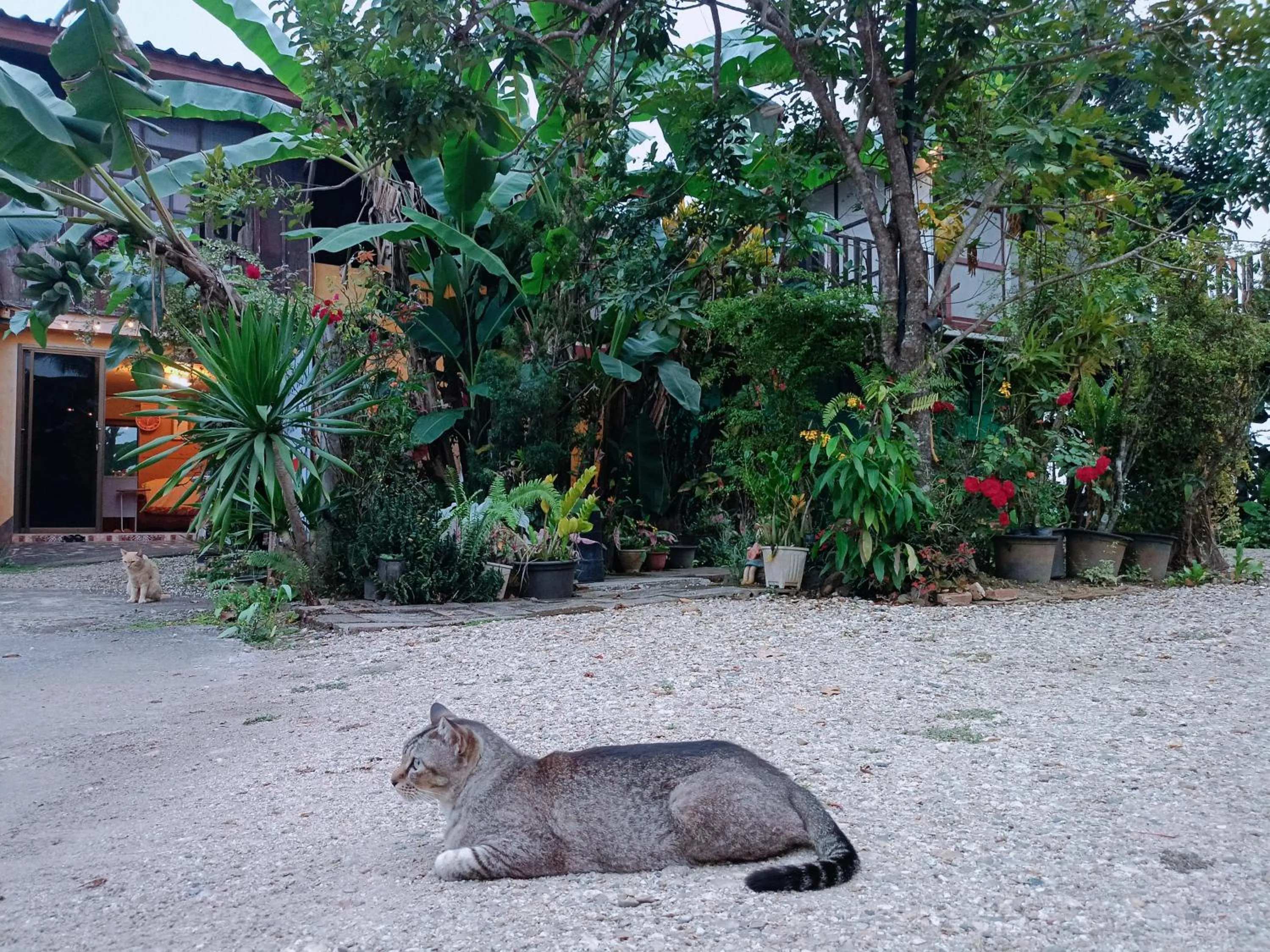 Six Nature Resort