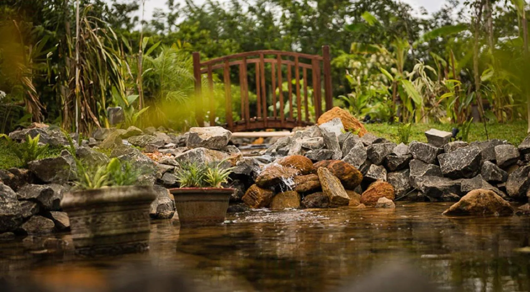 Garden in D Canal House
