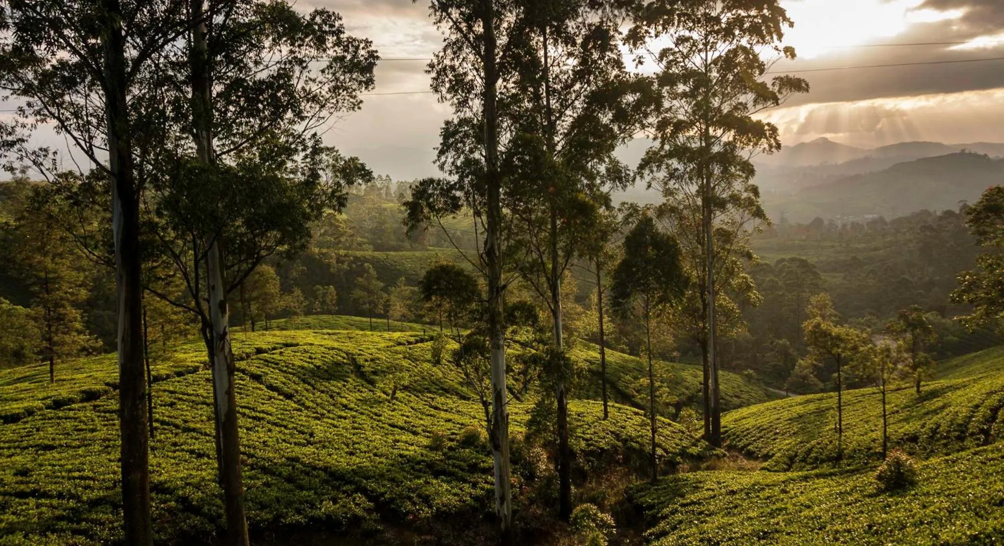 Nearby landmark in D Canal House