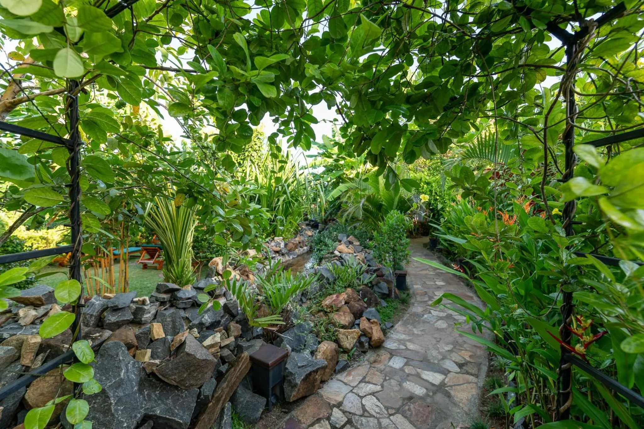 Day in D Canal House