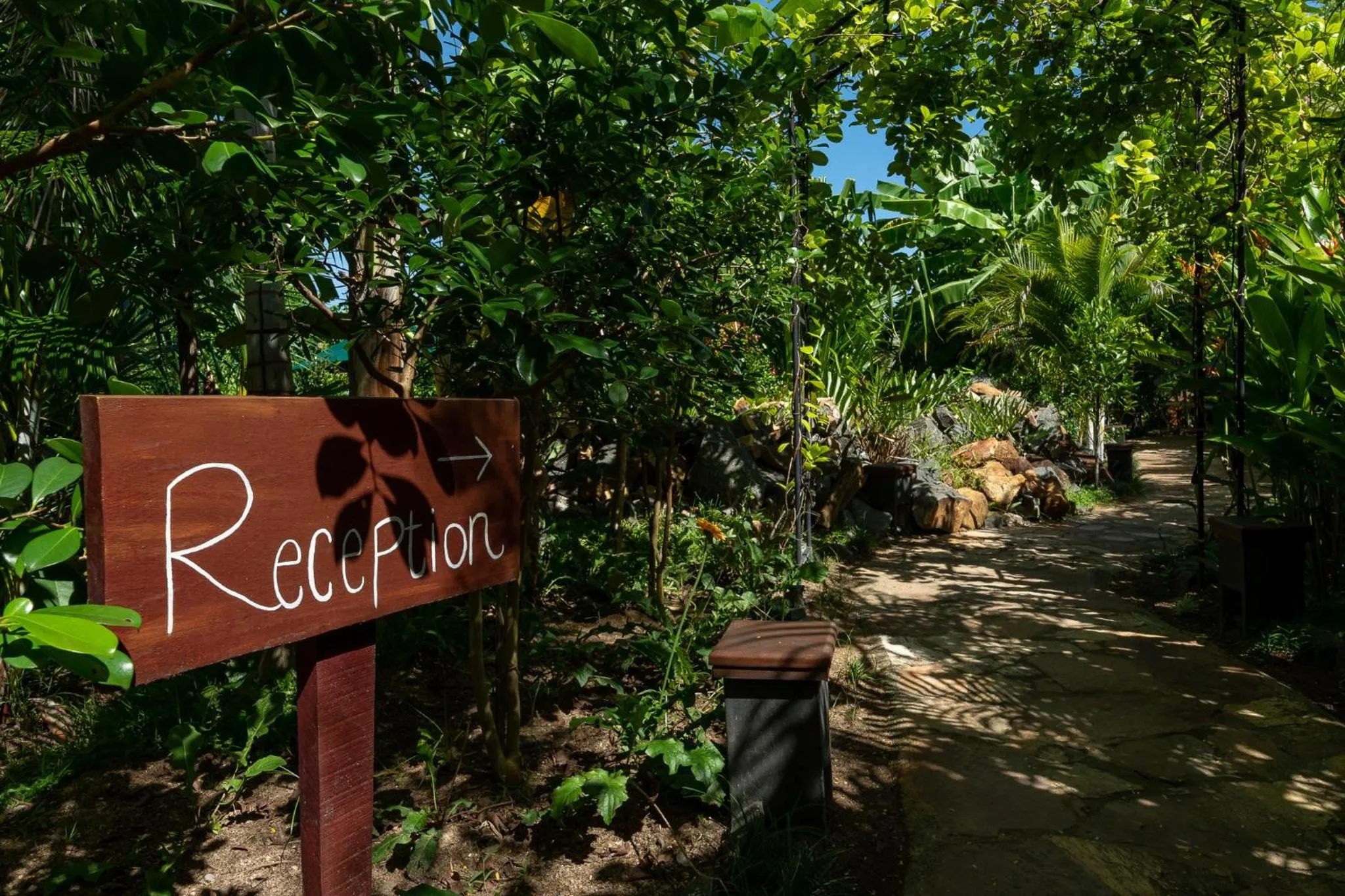 Garden in D Canal House