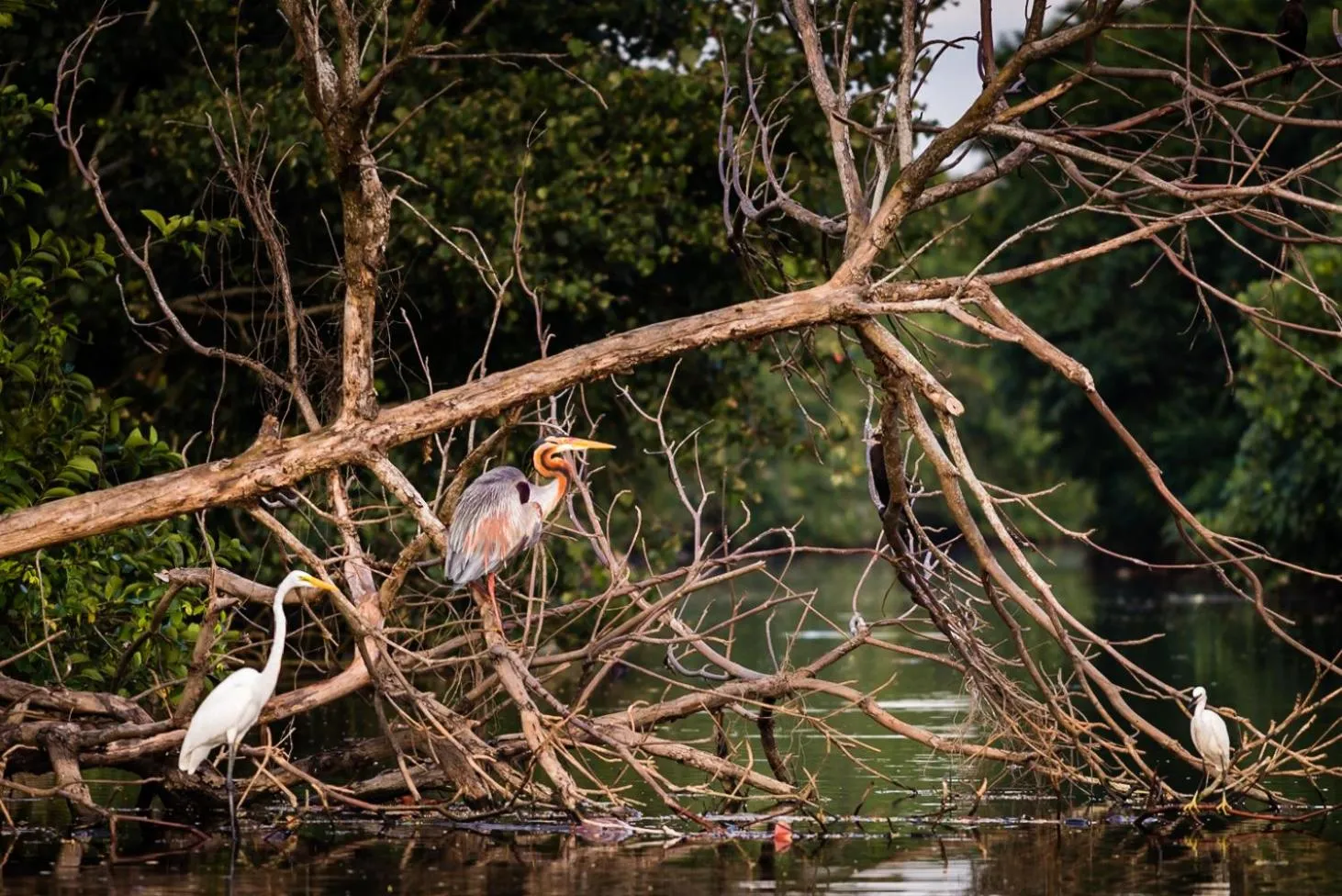 Nearby landmark in D Canal House