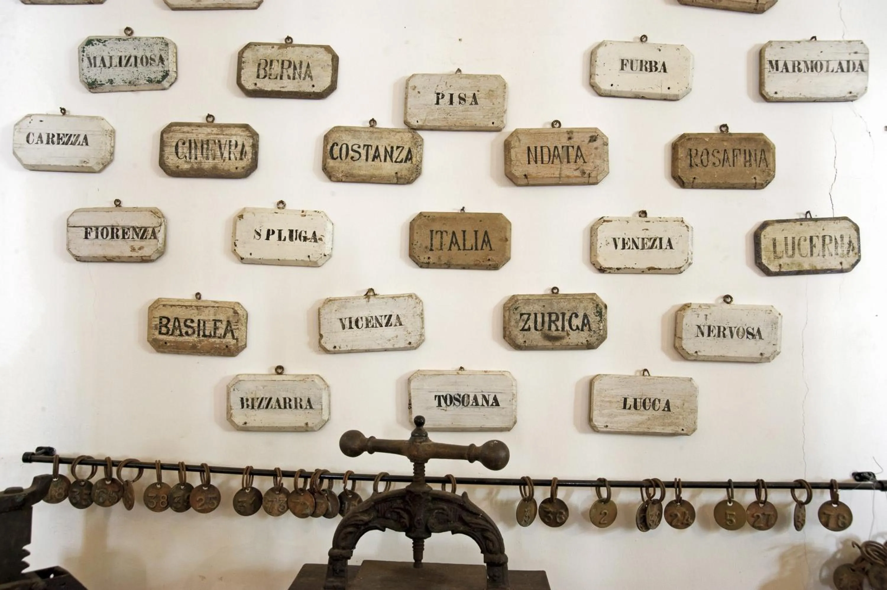 Area and facilities in Tenuta Badessa