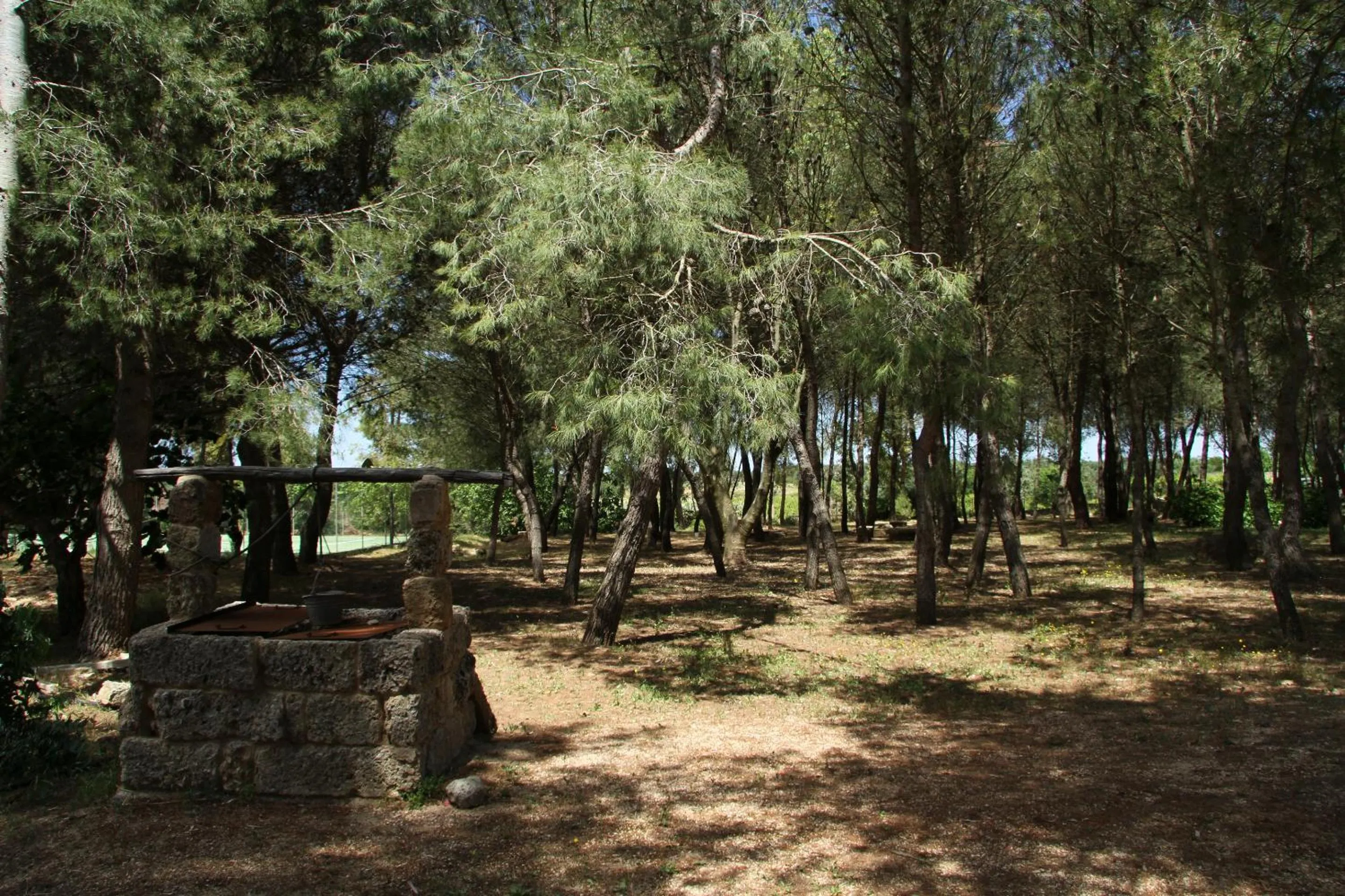Natural landscape in Masseria Cristo