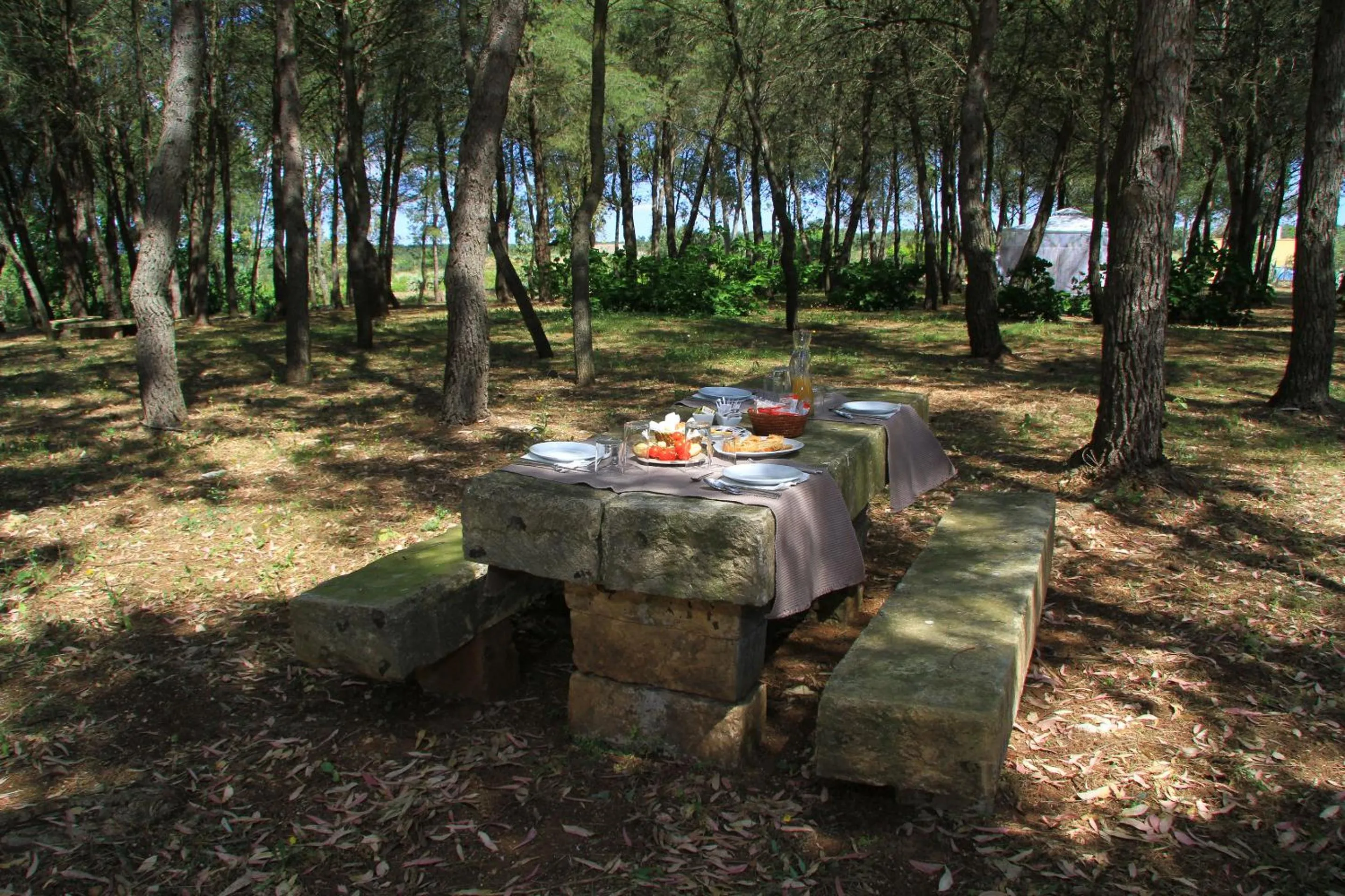 Bird's eye view in Masseria Cristo
