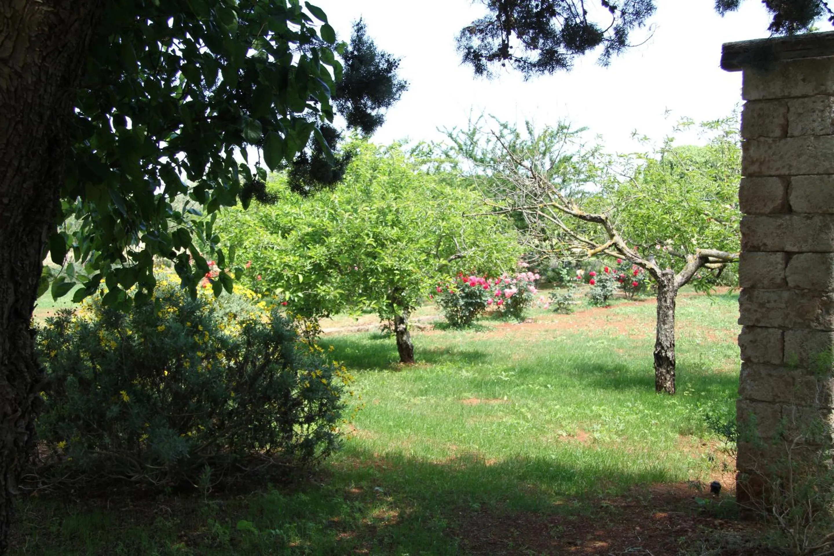 Garden in Masseria Cristo