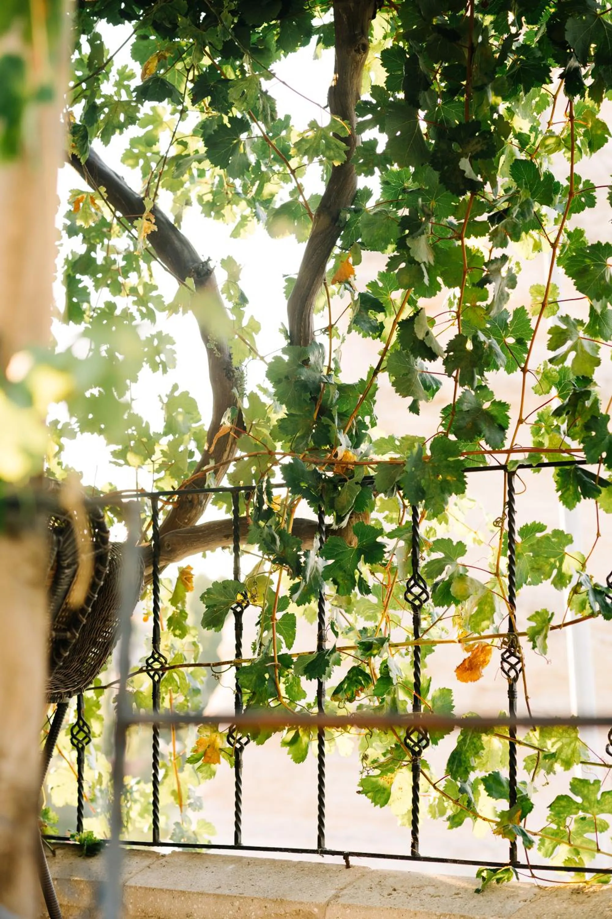 Patio in Paradise Cappadocia Hotel