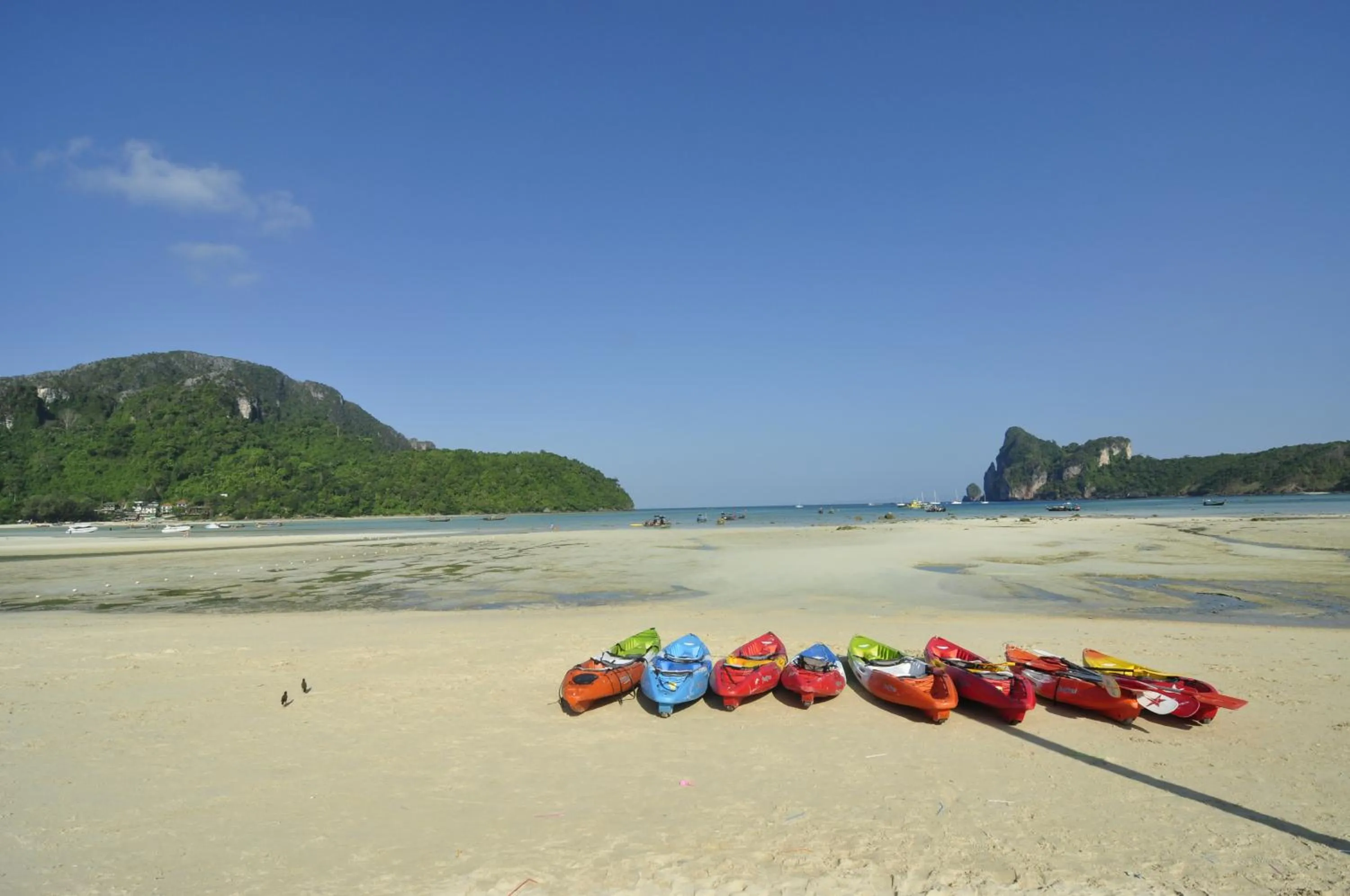 Activities in Phi Phi Twin Palms Bungalow