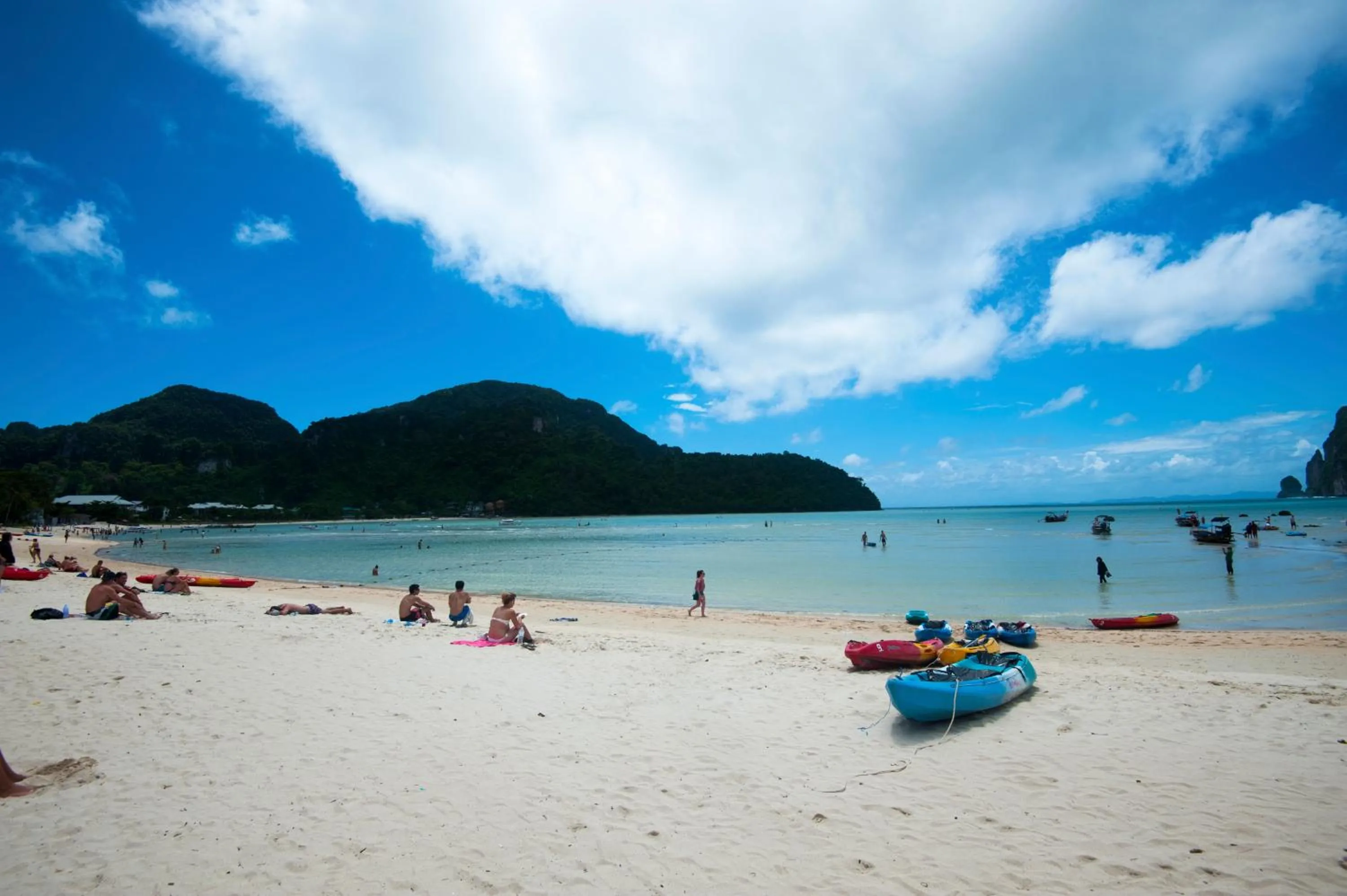 Day in Phi Phi Twin Palms Bungalow