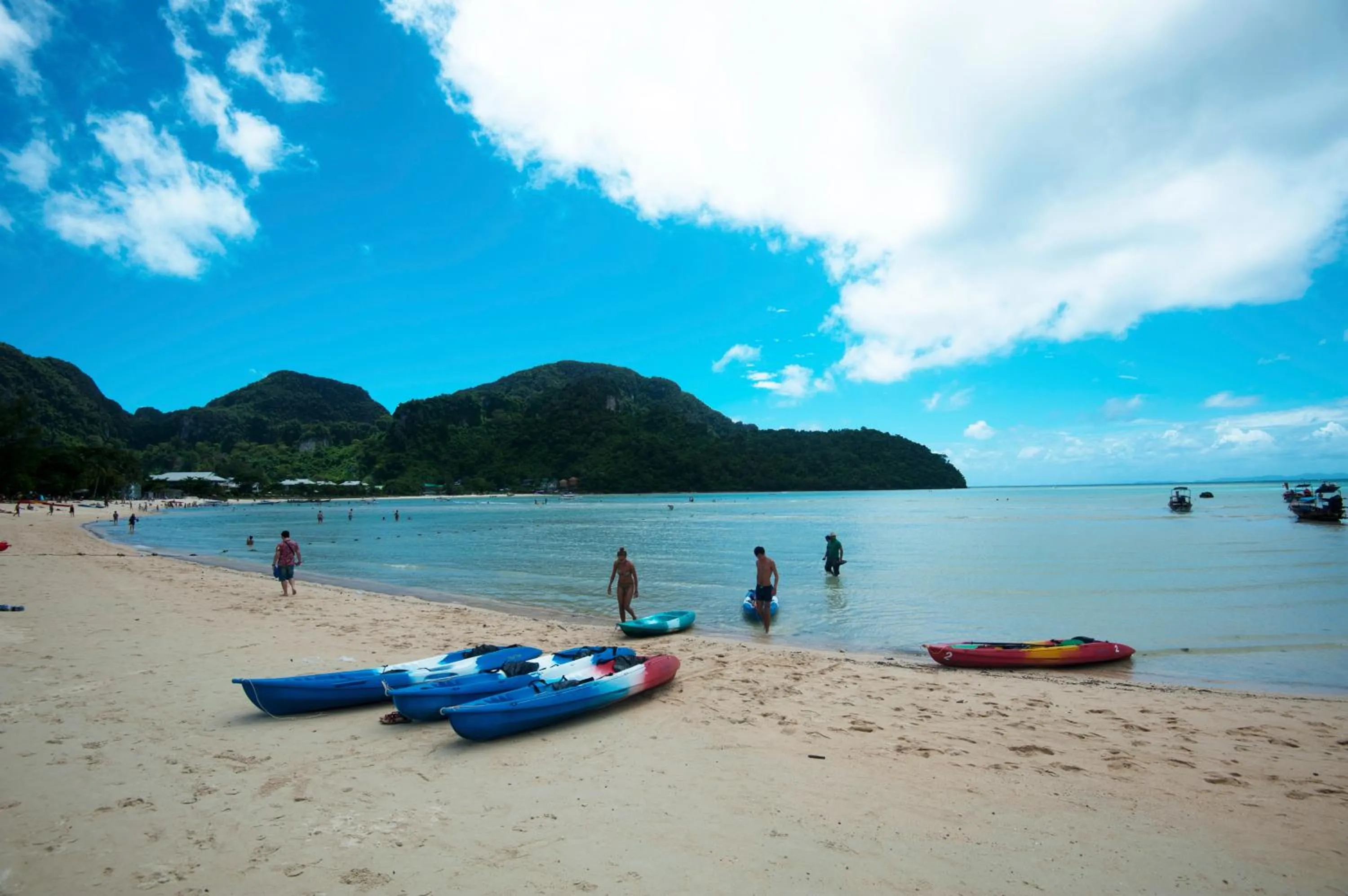 Day in Phi Phi Twin Palms Bungalow