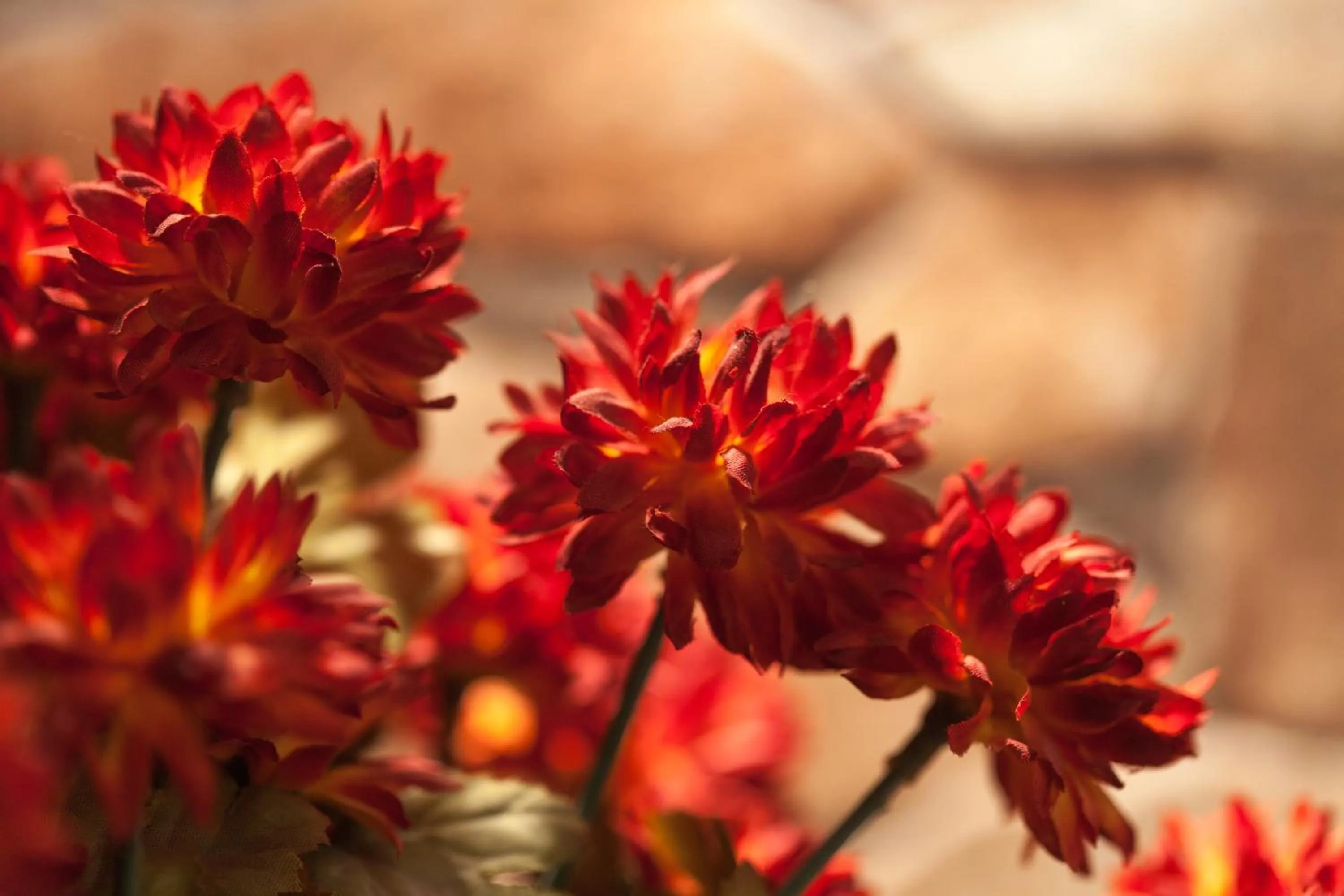 Decorative detail in SUITES YOU Zinc