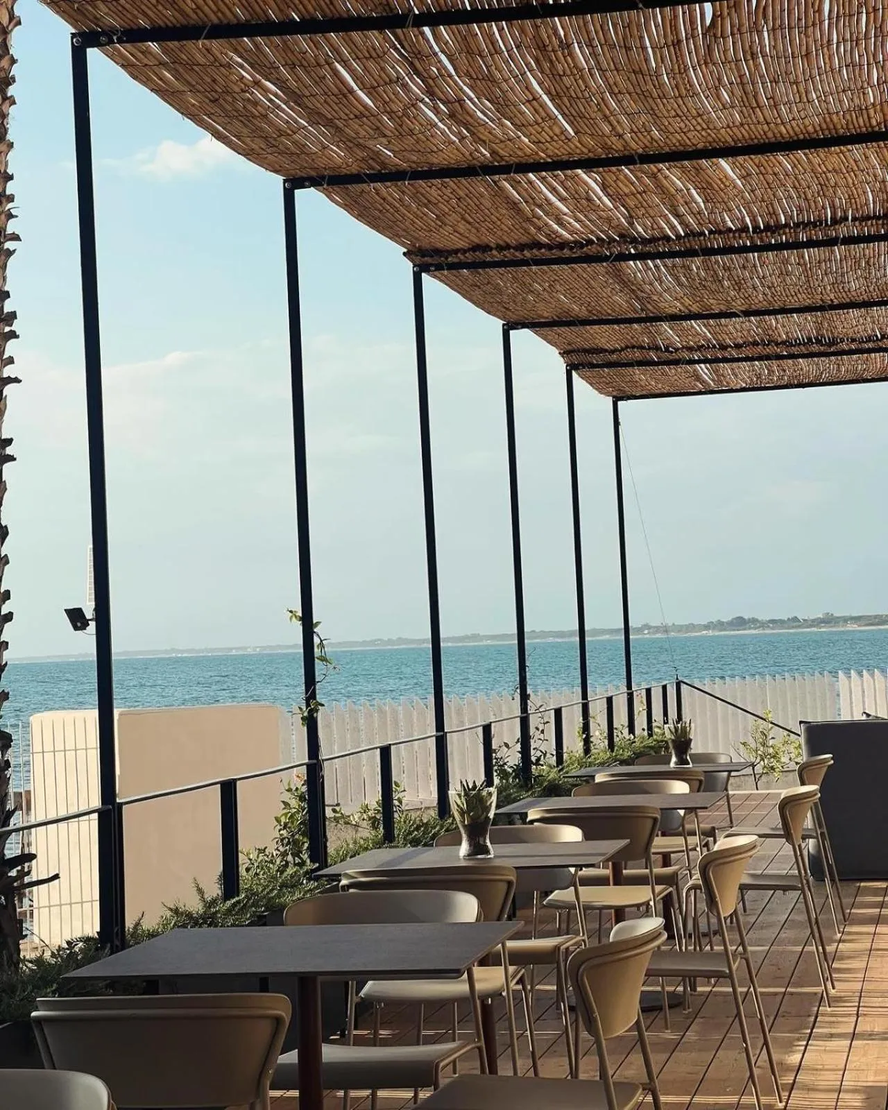 Balcony/Terrace in Hotel Mare