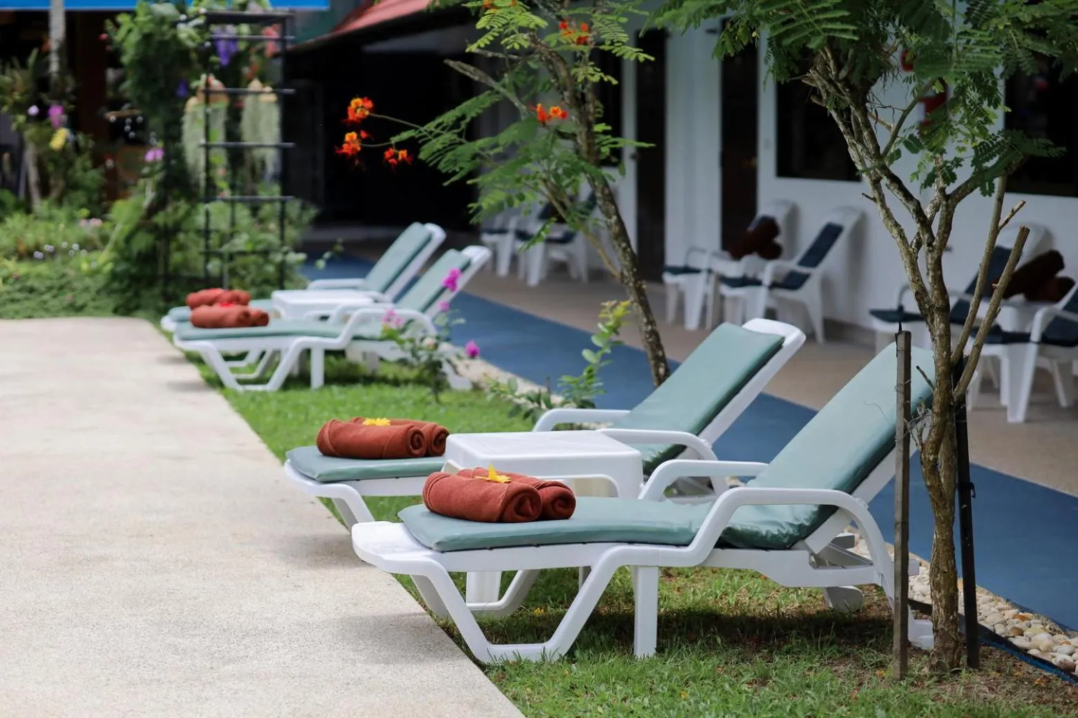 sunbed in The Golddiggers Resort