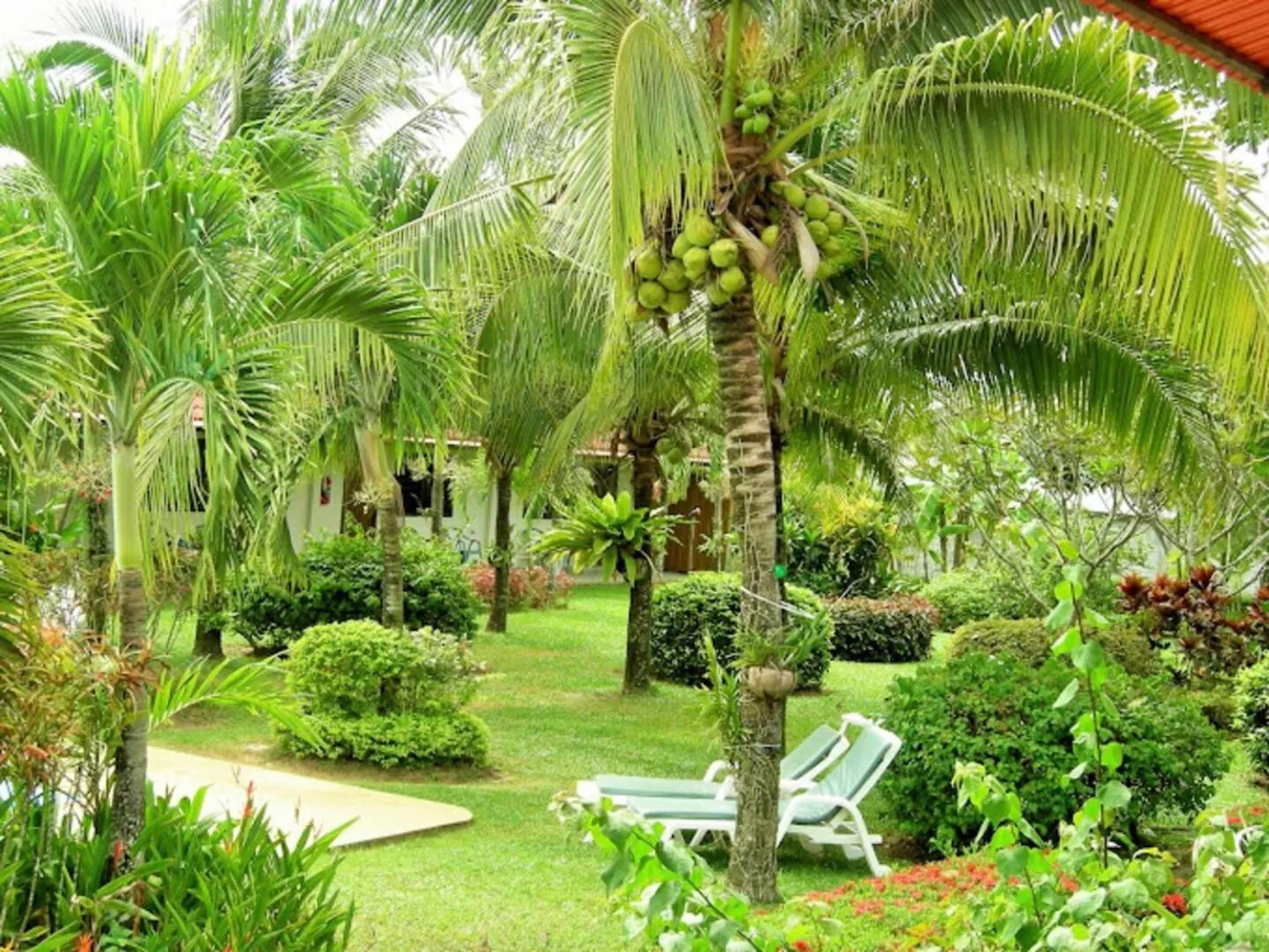 Natural landscape in The Golddiggers Resort