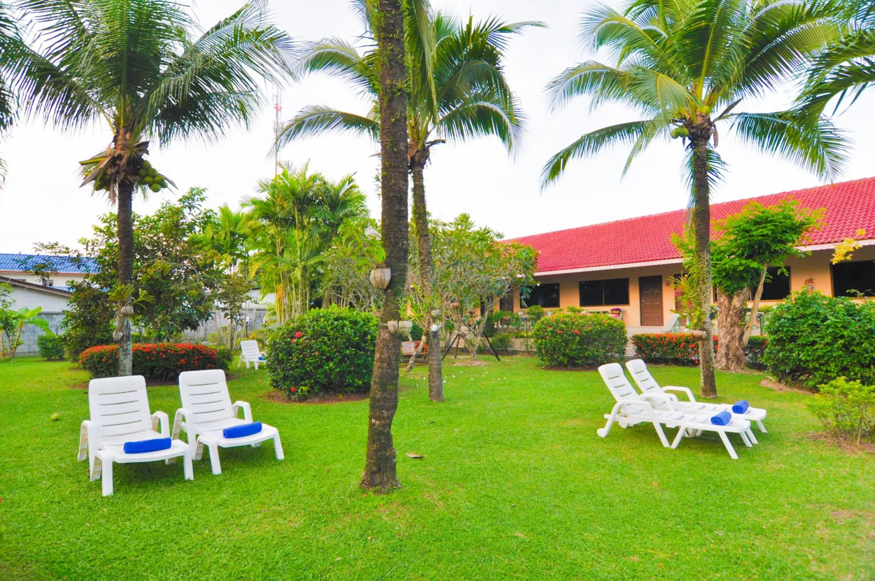 Garden in The Golddiggers Resort