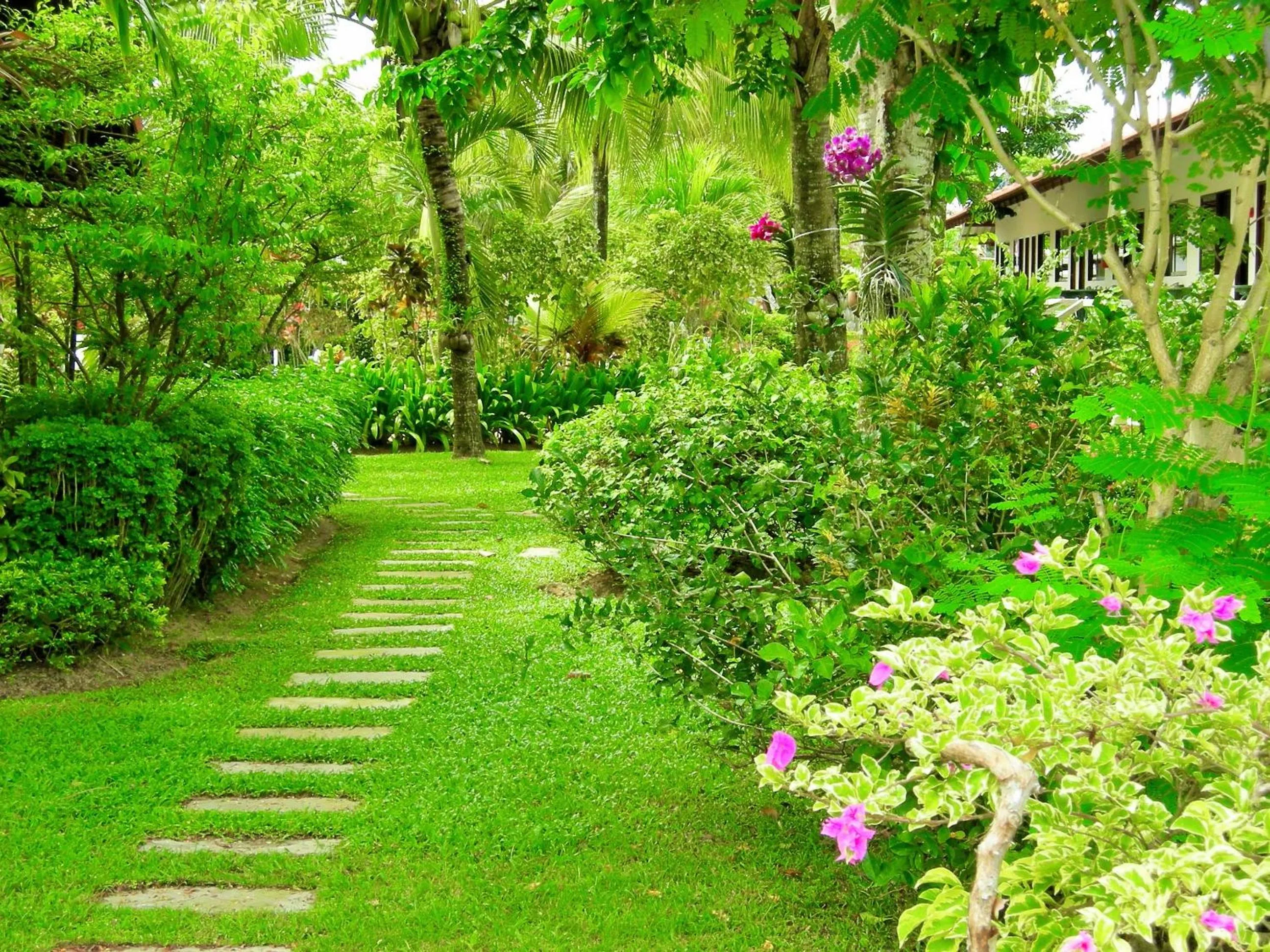 Garden in The Golddiggers Resort