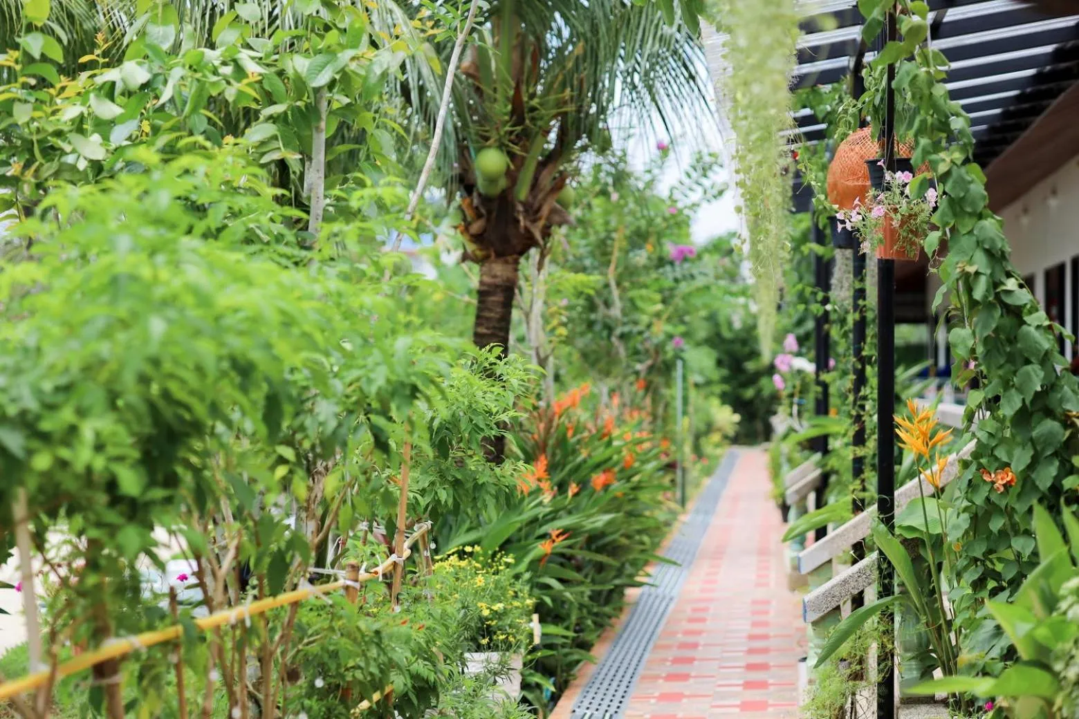 Garden in The Golddiggers Resort
