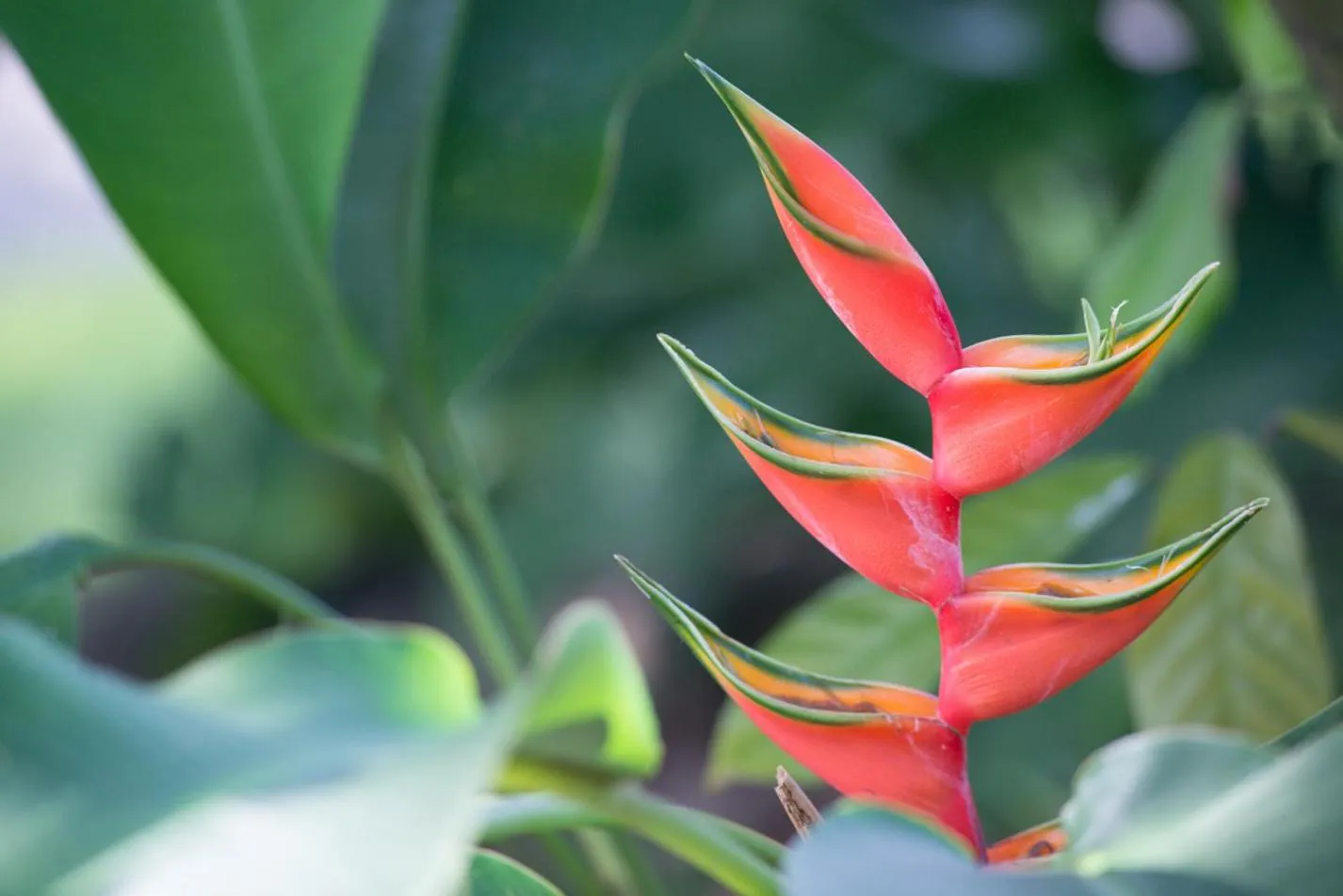 Day in Pousada Mangabeiras