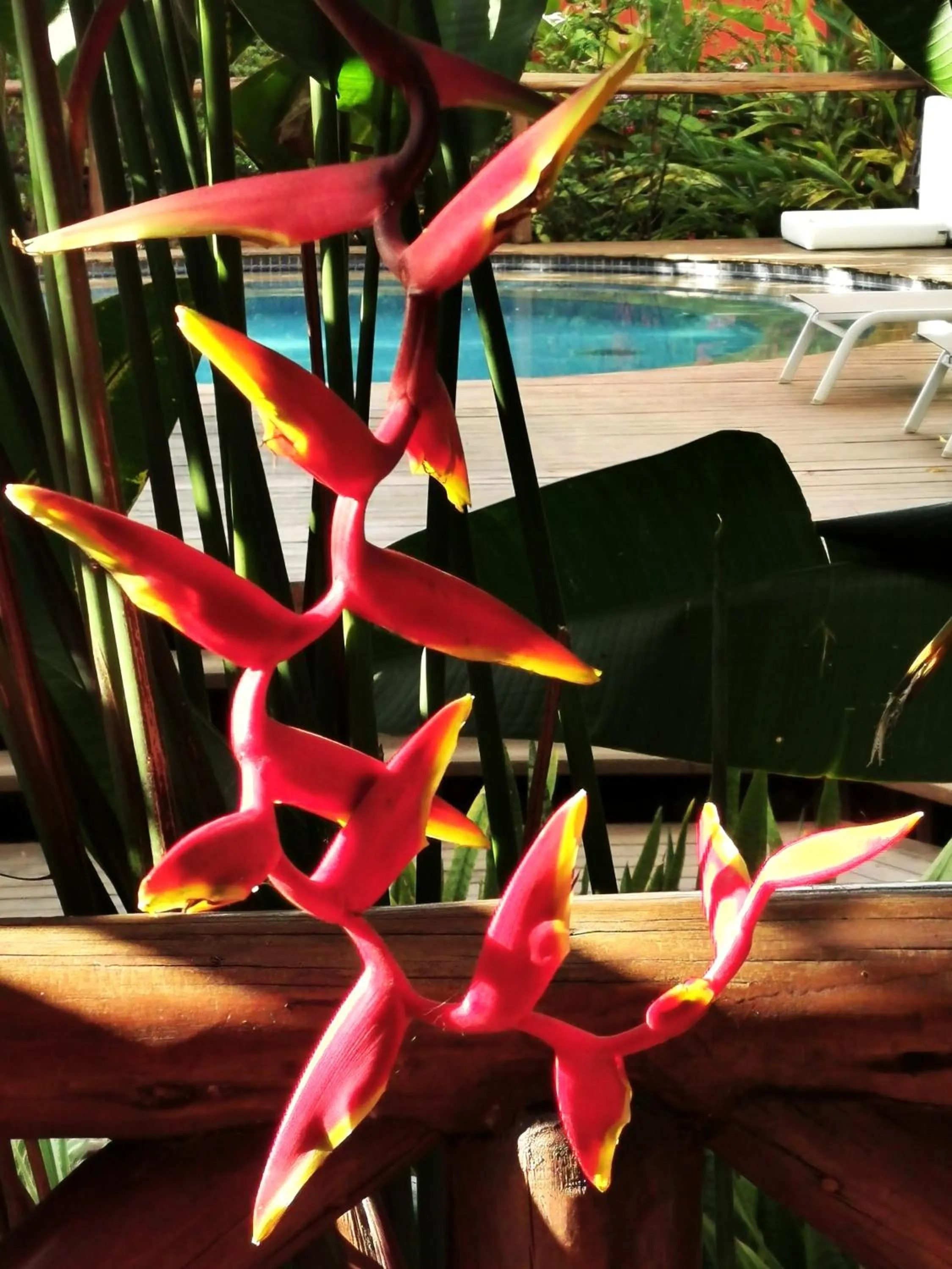 Swimming pool in Pousada Triboju