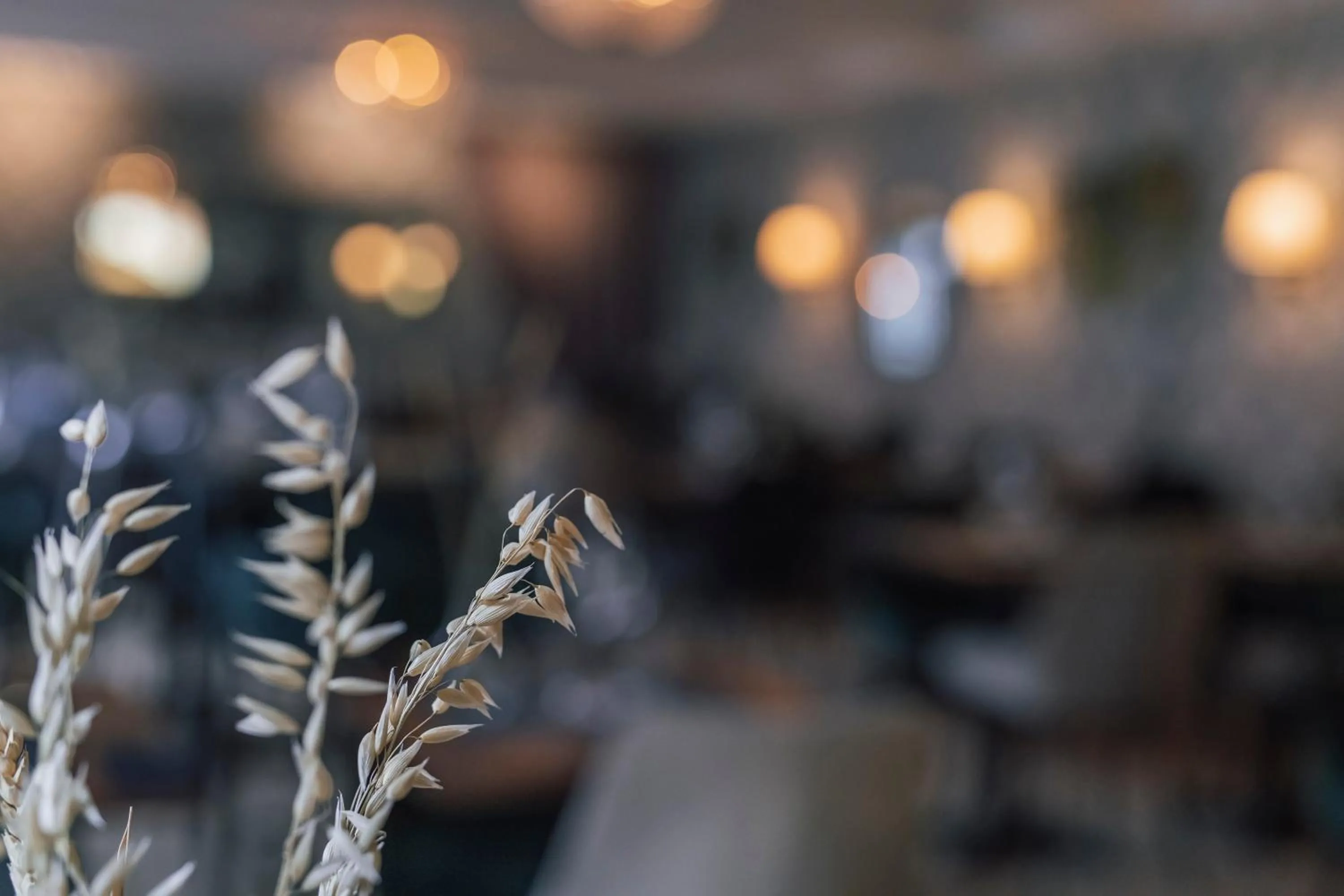 Restaurant/places to eat in Slottshotellet Annex