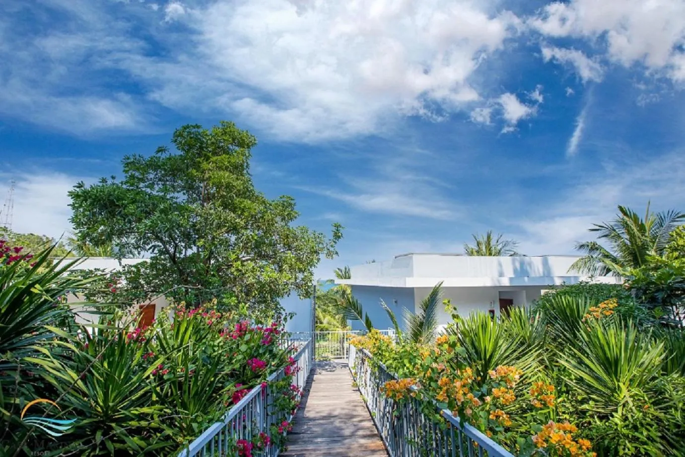 Day in Casa Marina Resort