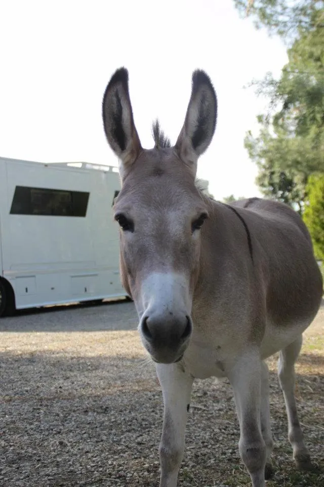 Day in Ortali Country House