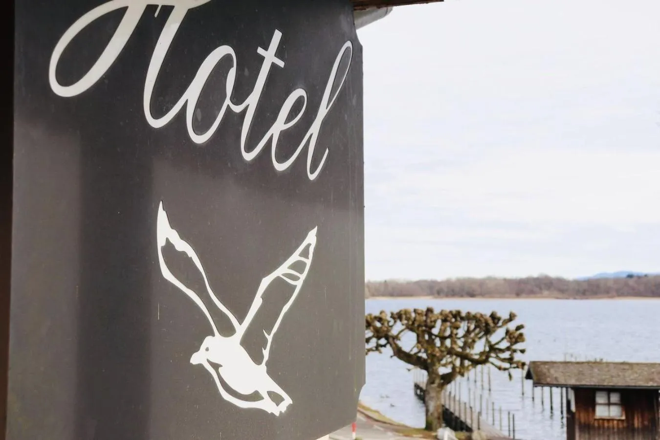 Property logo or sign in Hotel Garni Möwe am See