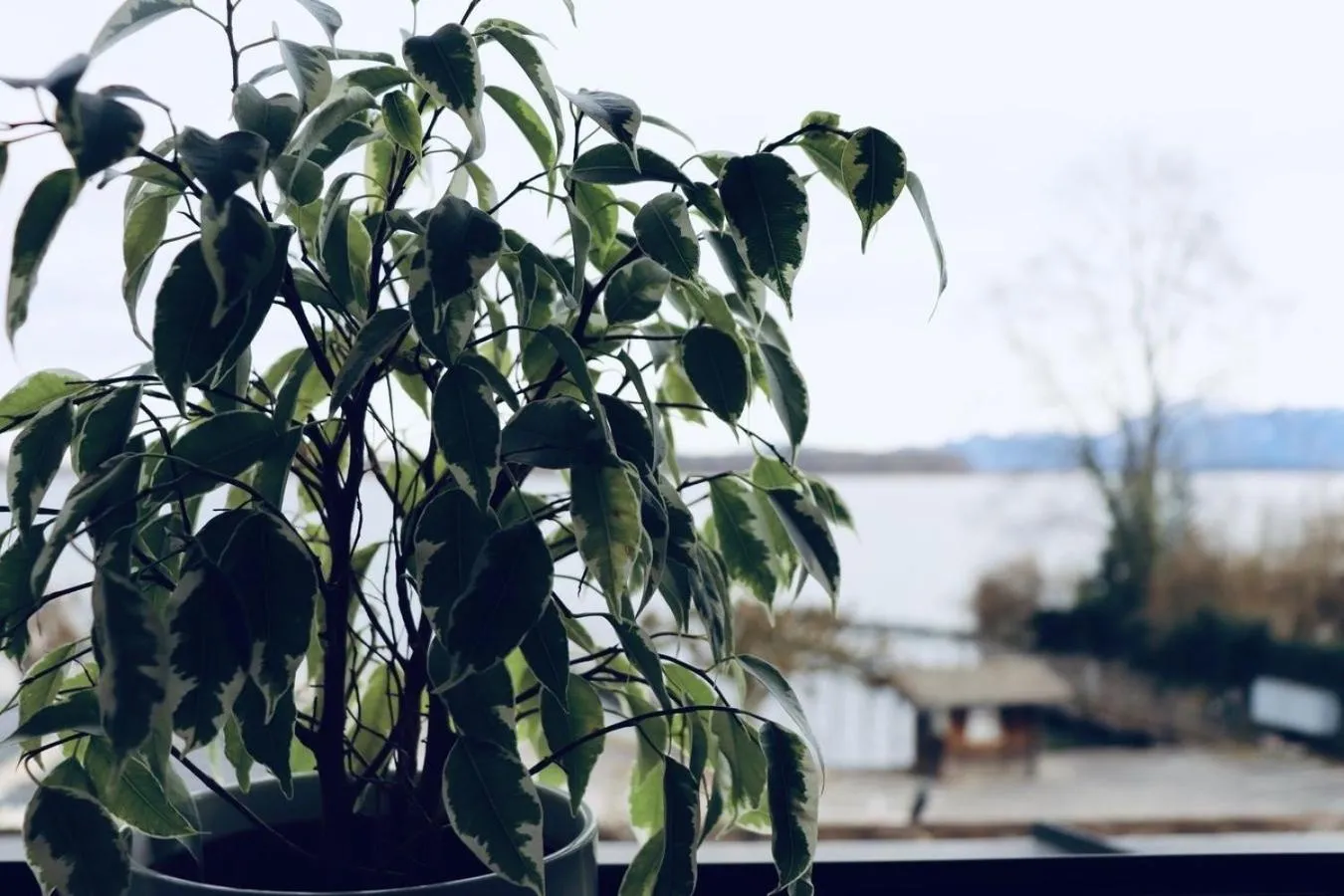 Decorative detail in Hotel Garni Möwe am See