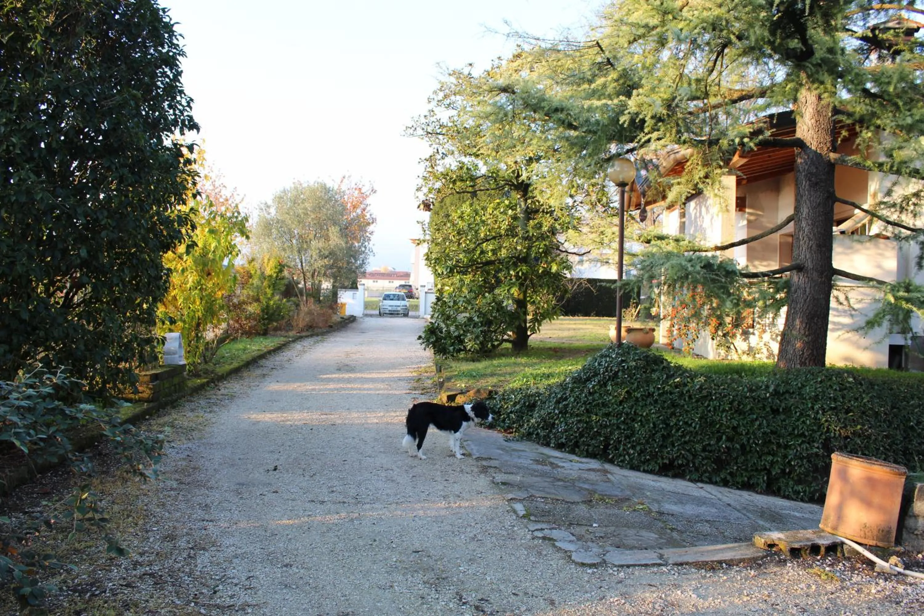 Natural landscape in Appartamento " Nella Natura "