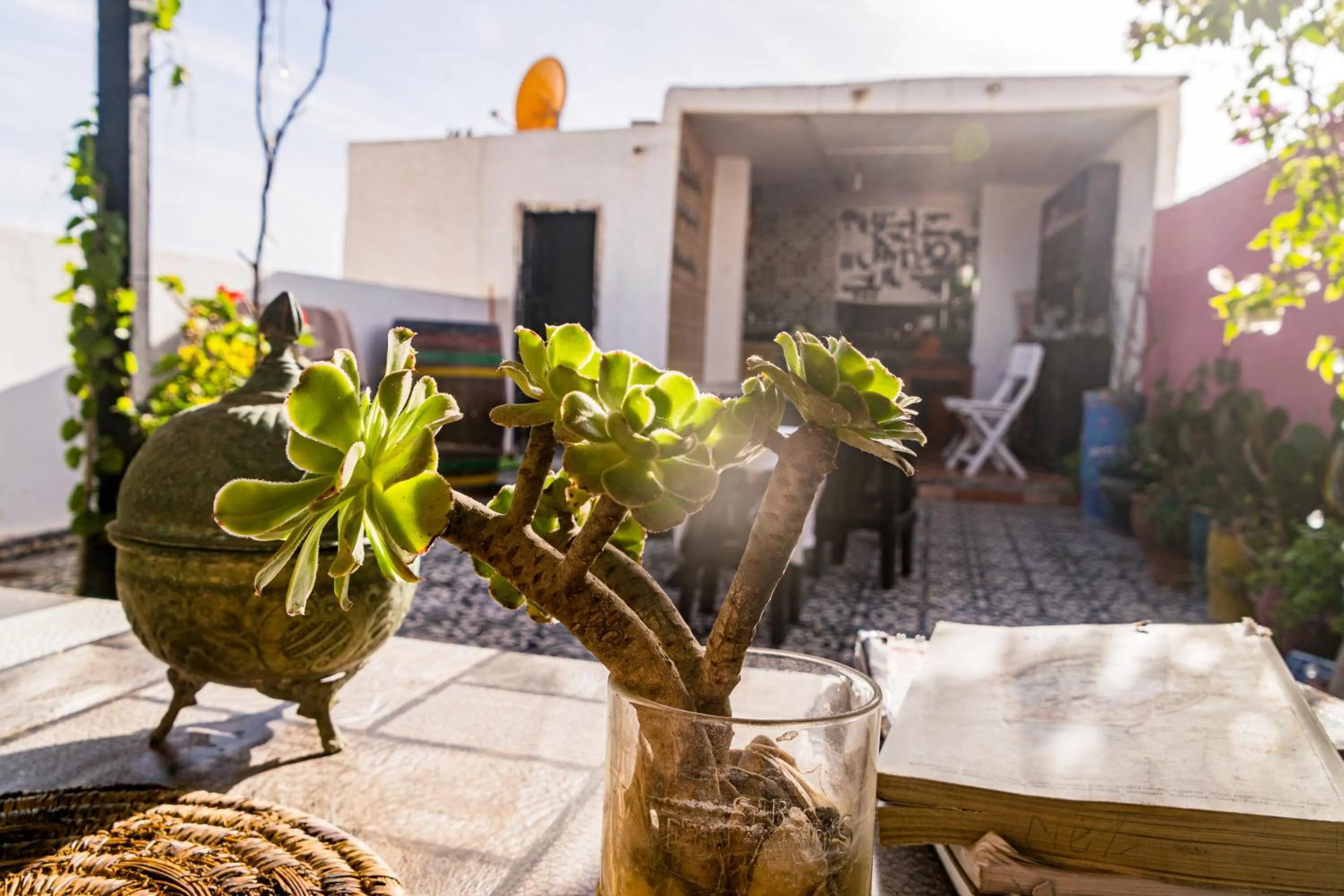 Essaouira Youth Hostel & Social Travel