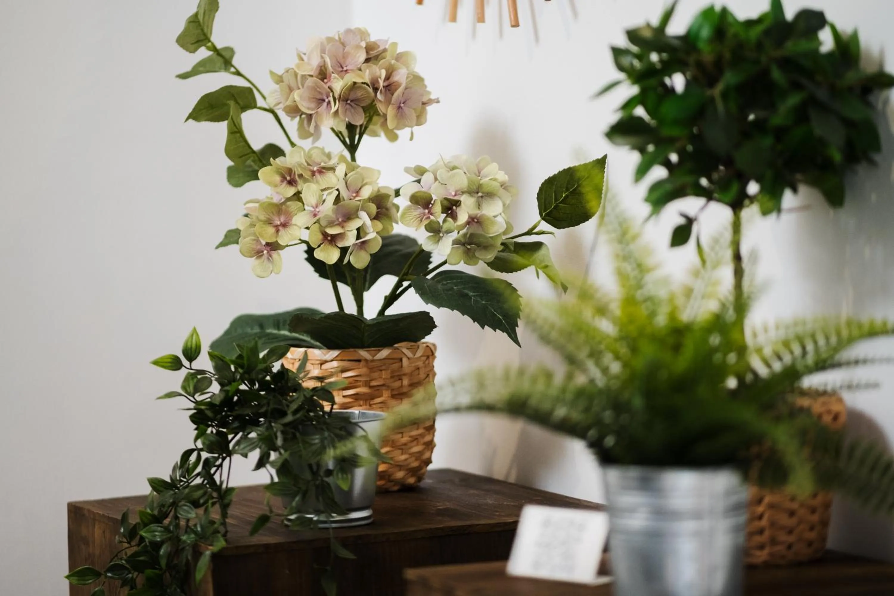 Lobby or reception in Hotel Isla Menor