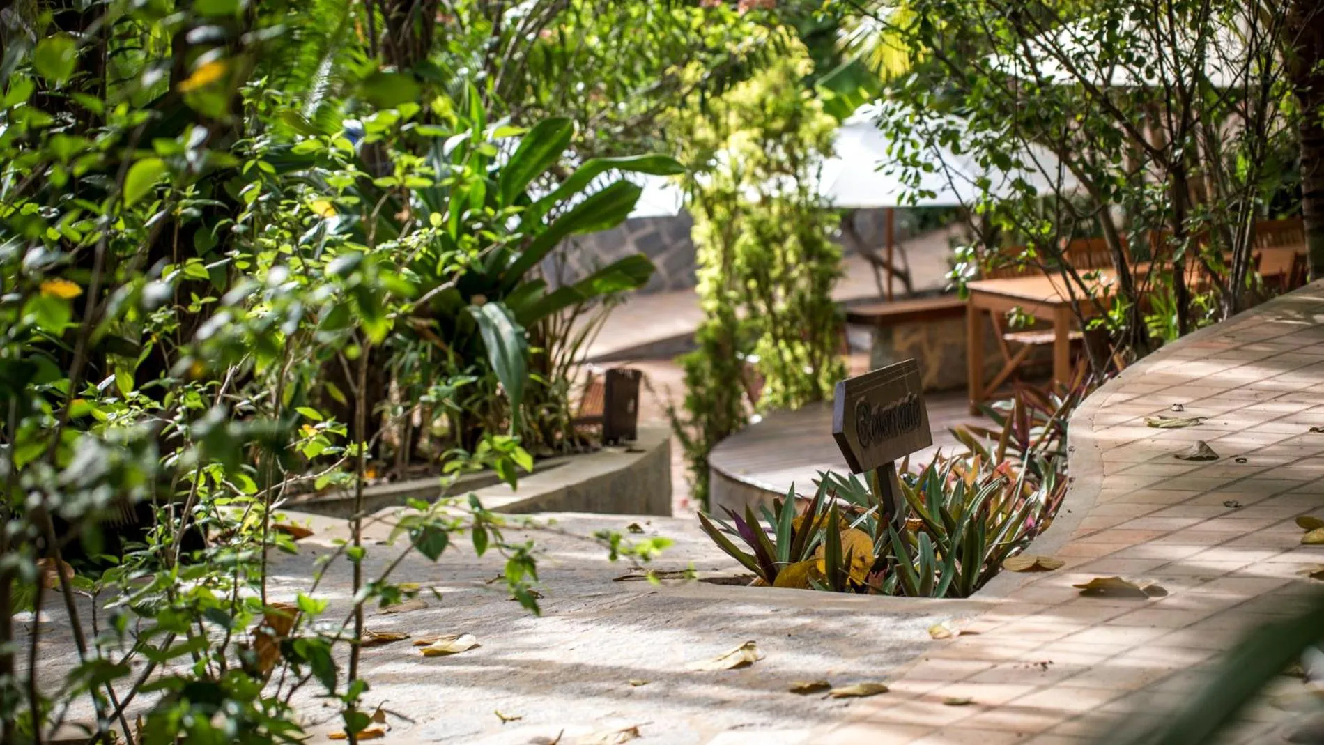 Sombra e Água Fresca Floresta