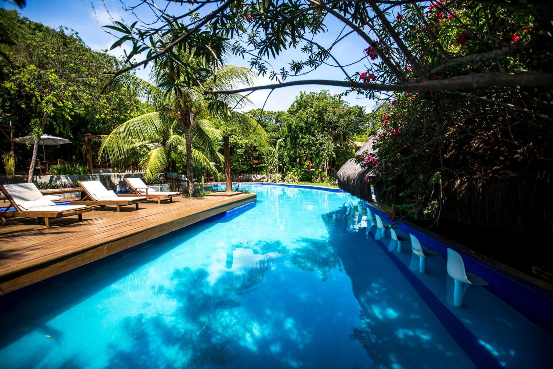 Pool view in Sombra e Água Fresca Floresta