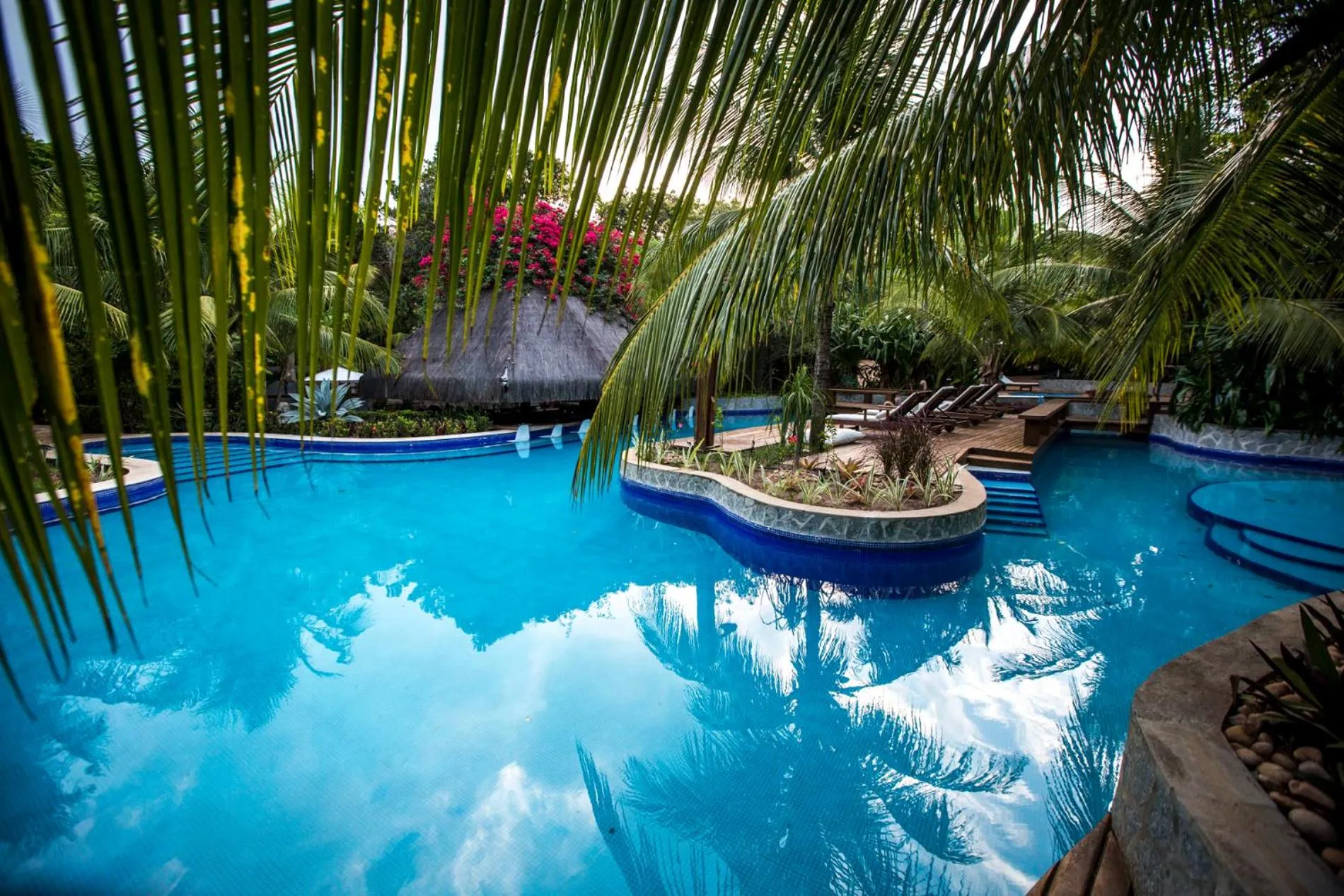 Sombra e Água Fresca Floresta