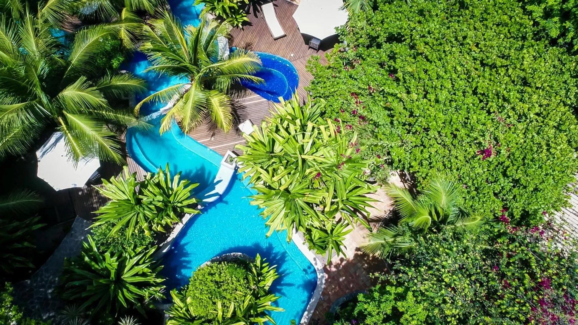 Bird's eye view in Sombra e Água Fresca Floresta