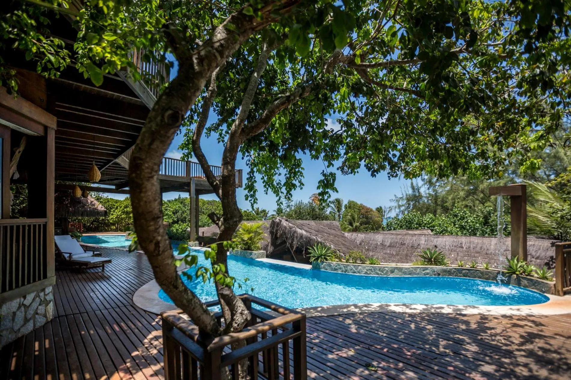 Sombra e Água Fresca Floresta