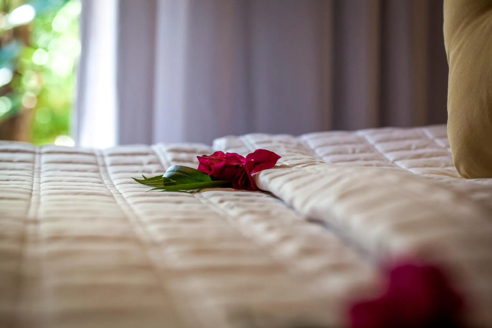 Bed in Sombra e Água Fresca Floresta