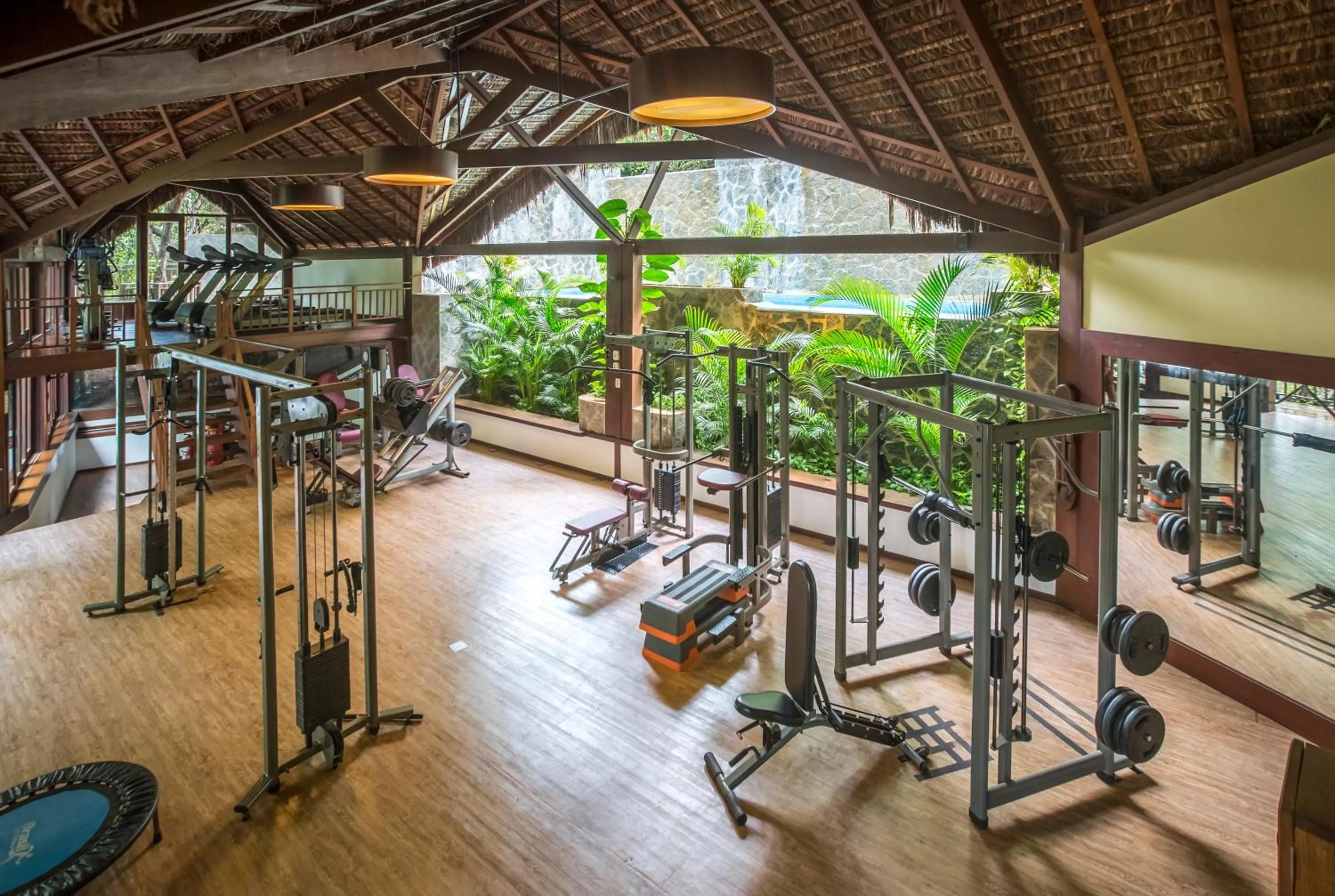 Sombra e Água Fresca Floresta