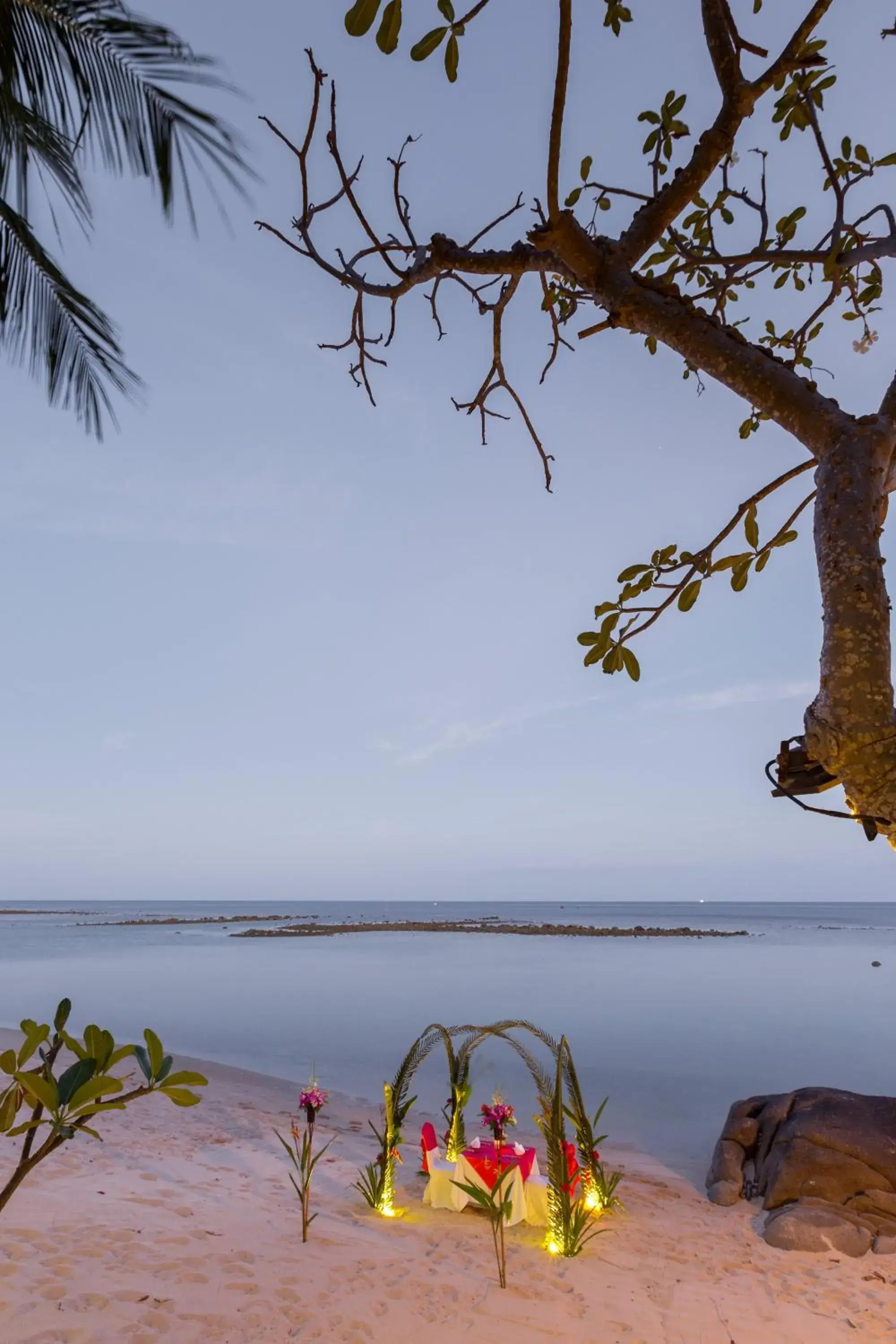 Restaurant/places to eat in Centara Villas Samui - SHA Plus Restaurant/places to eat in Centara Villas Samui - SHA Plus