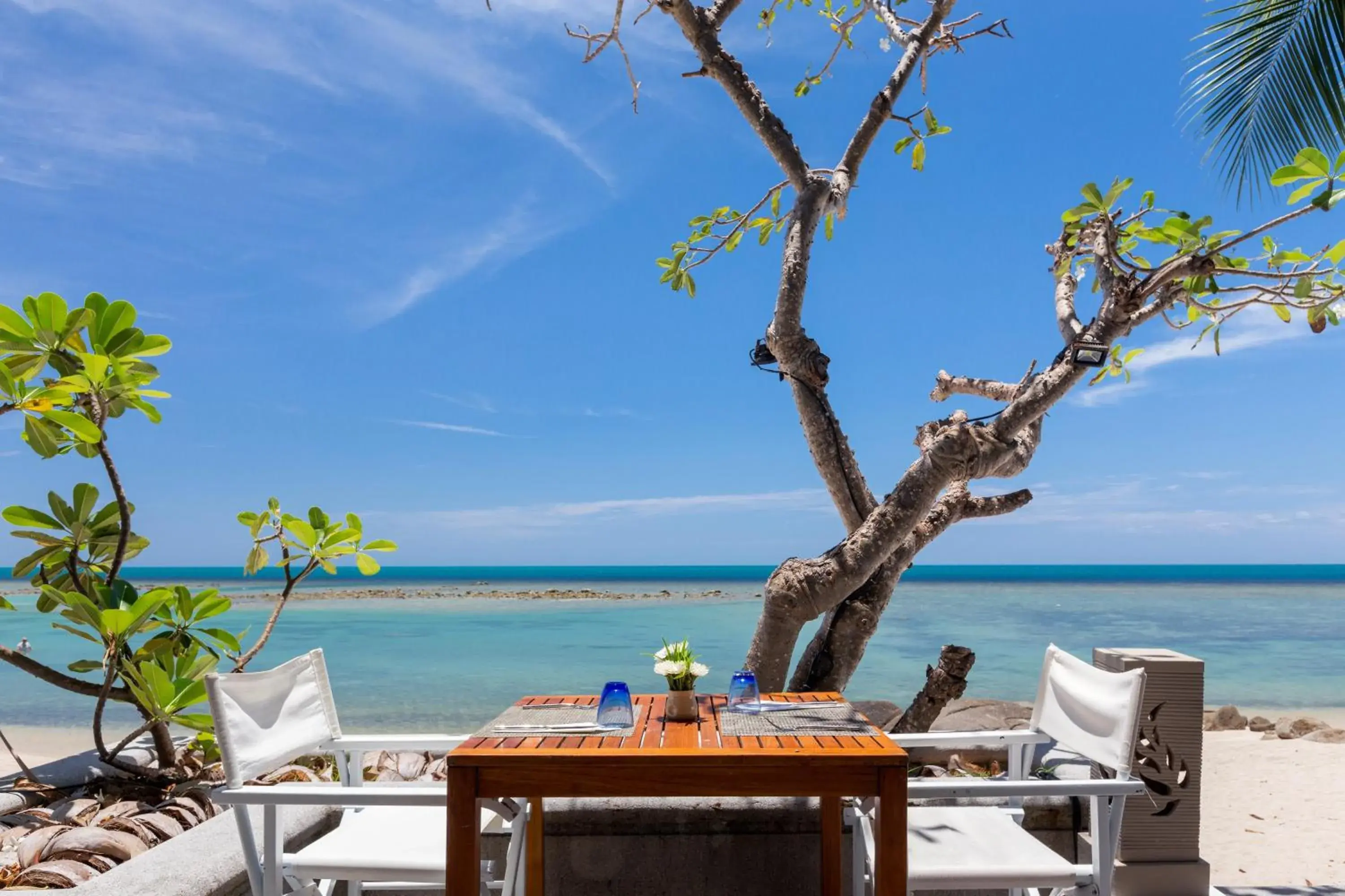 Restaurant/places to eat in Centara Villas Samui - SHA Plus Restaurant/places to eat in Centara Villas Samui - SHA Plus