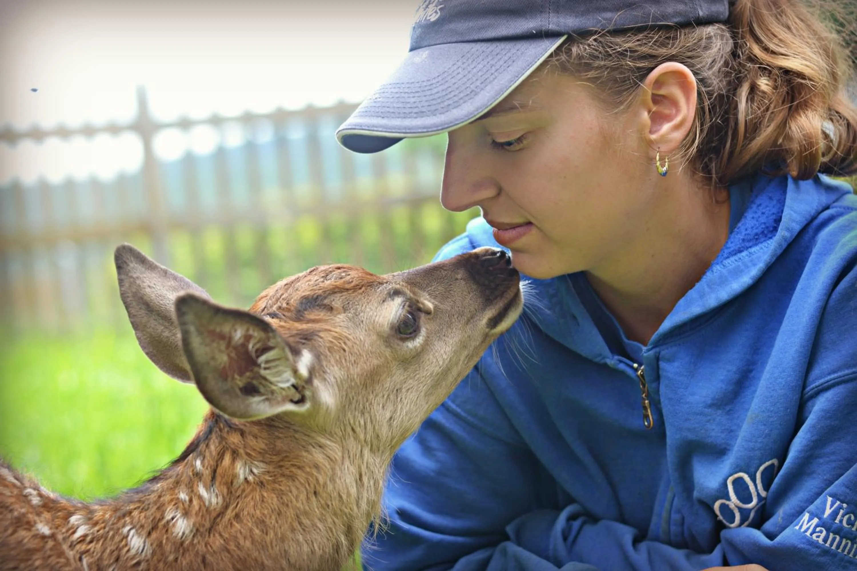 Centre de Vacances 5 Étoiles Family Resort