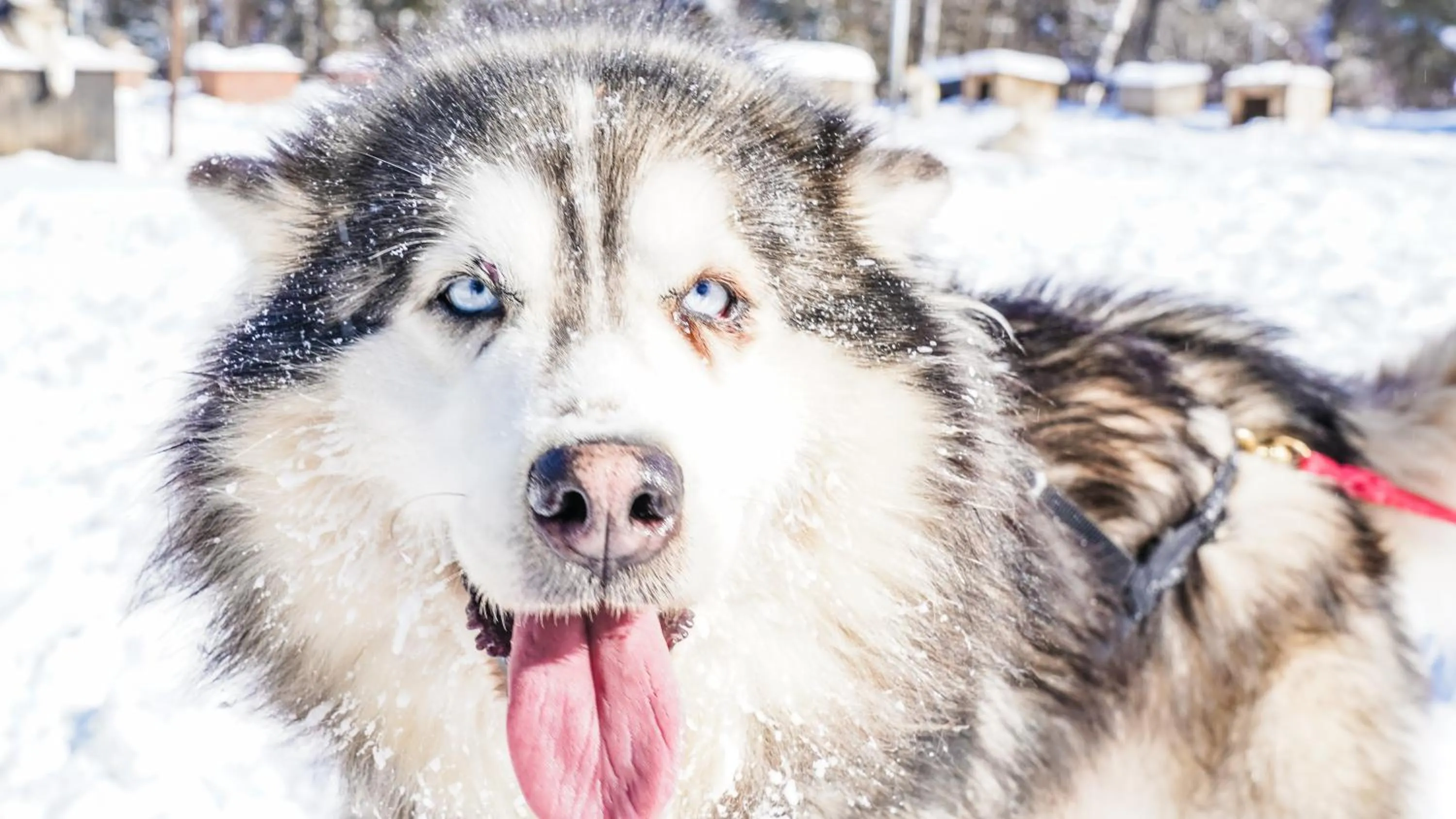 Centre de Vacances 5 Étoiles Family Resort