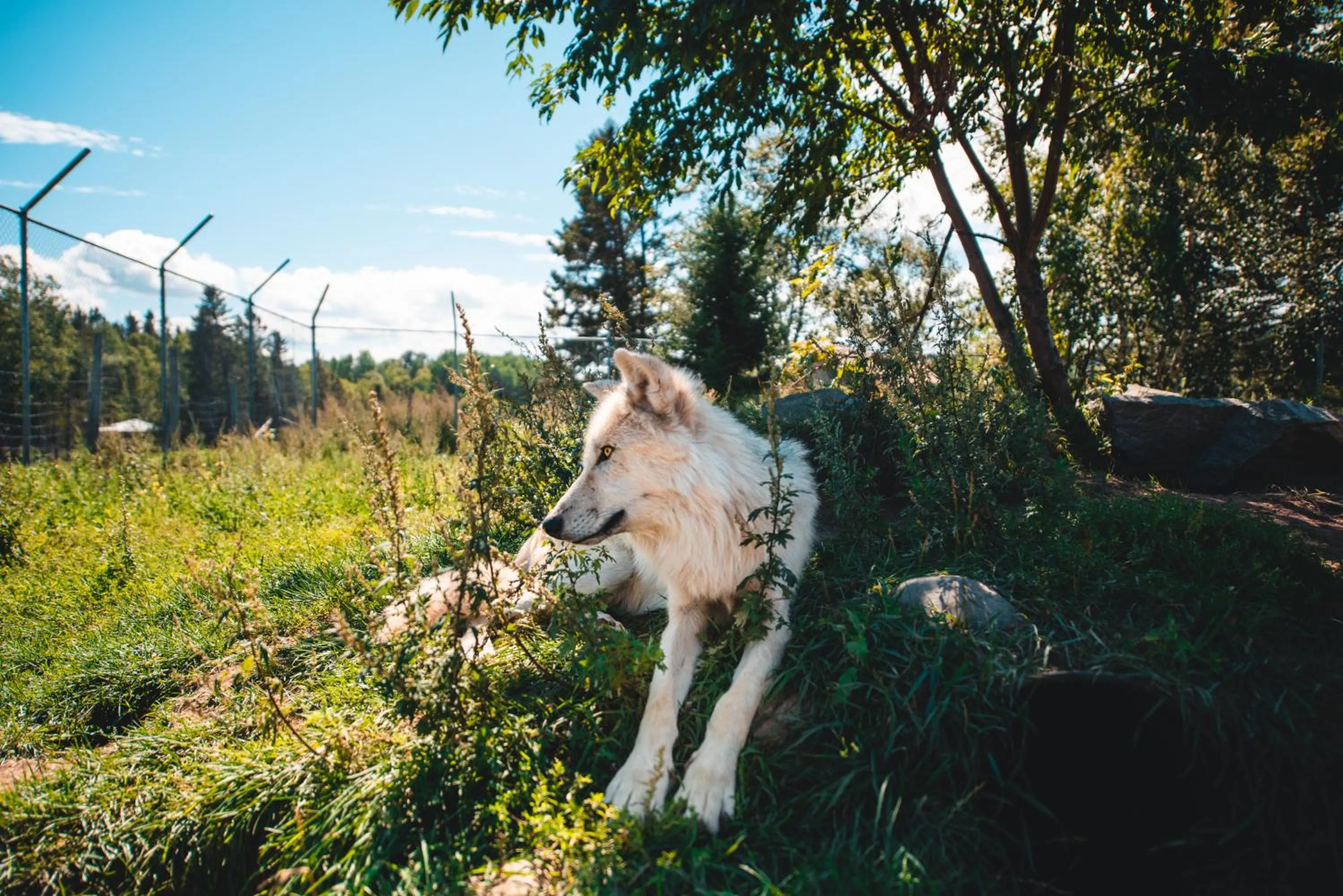 Centre de Vacances 5 Étoiles Family Resort