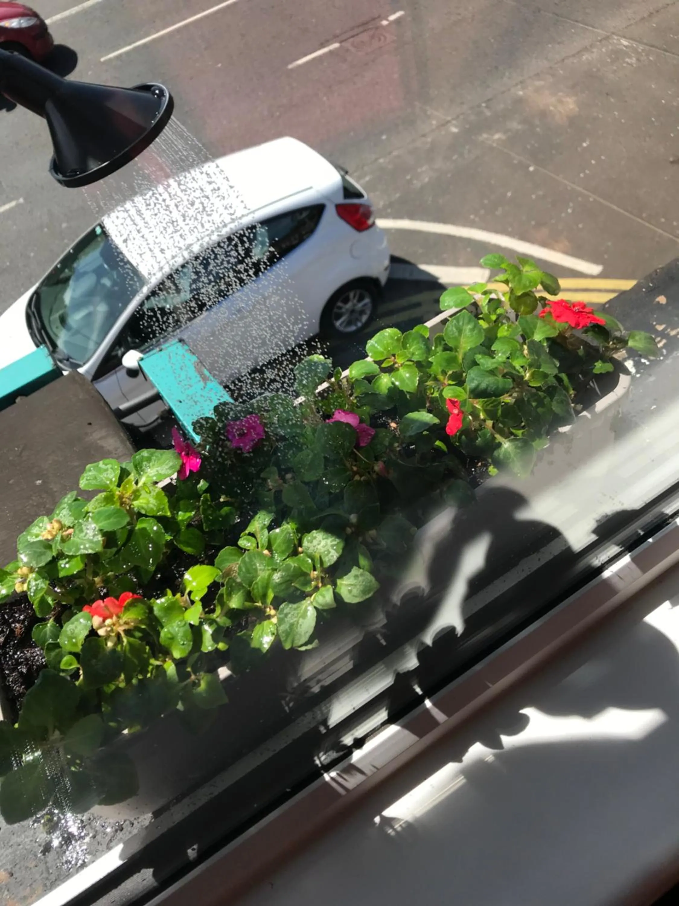 Lwr Ormeau Guest House