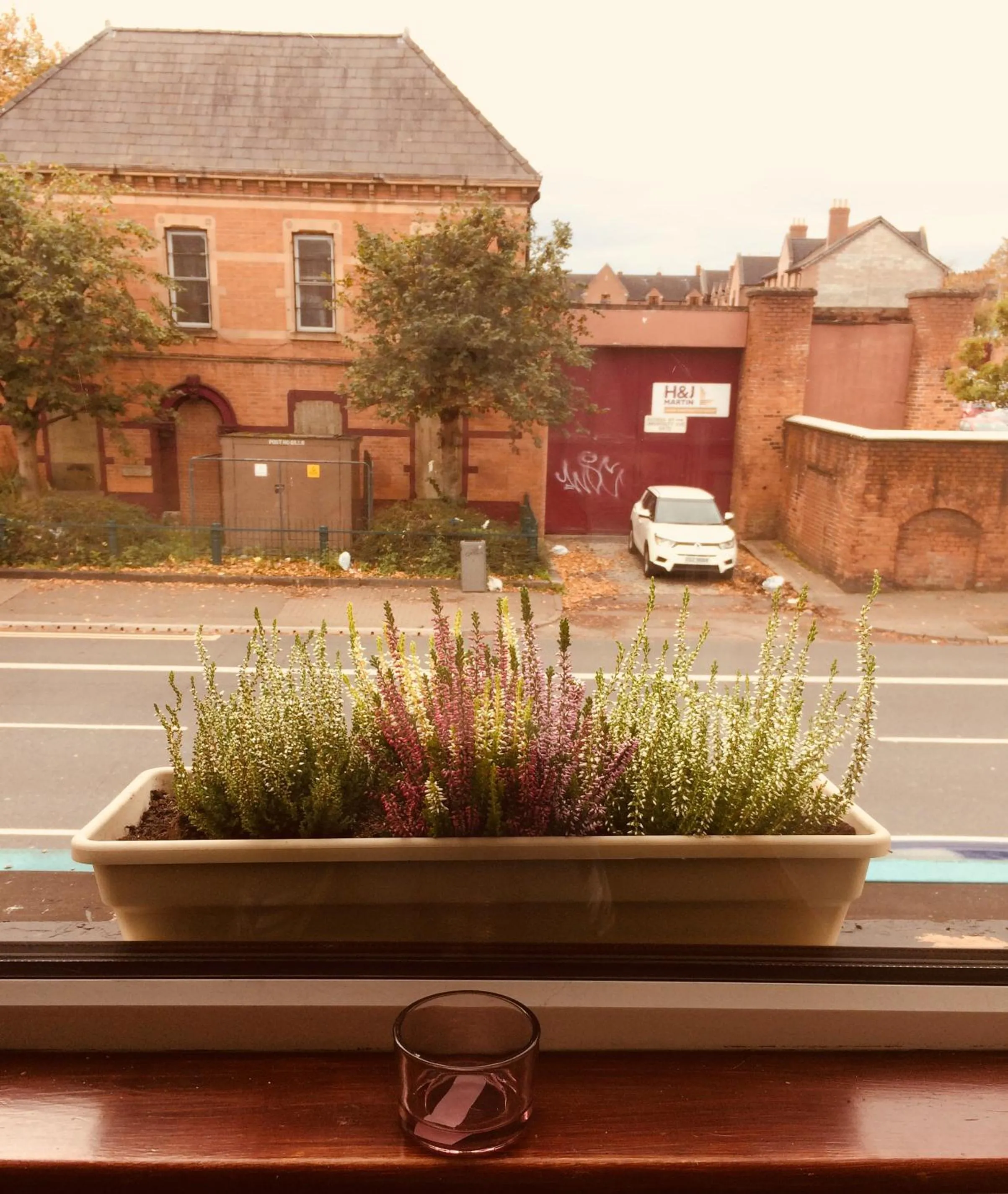 Decorative detail in Lwr Ormeau Guest House