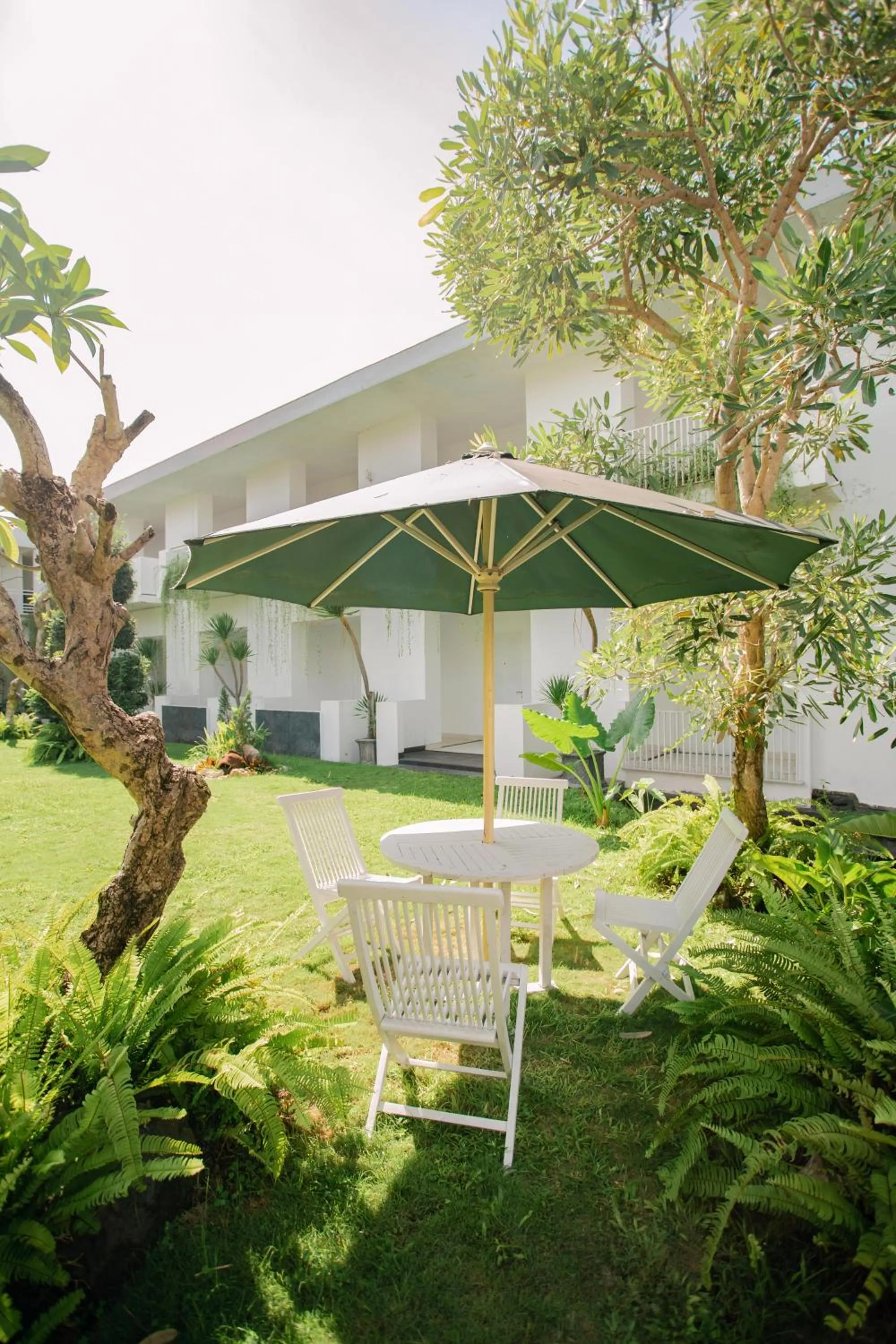 Natural landscape in LPP Convention Hotel Demangan