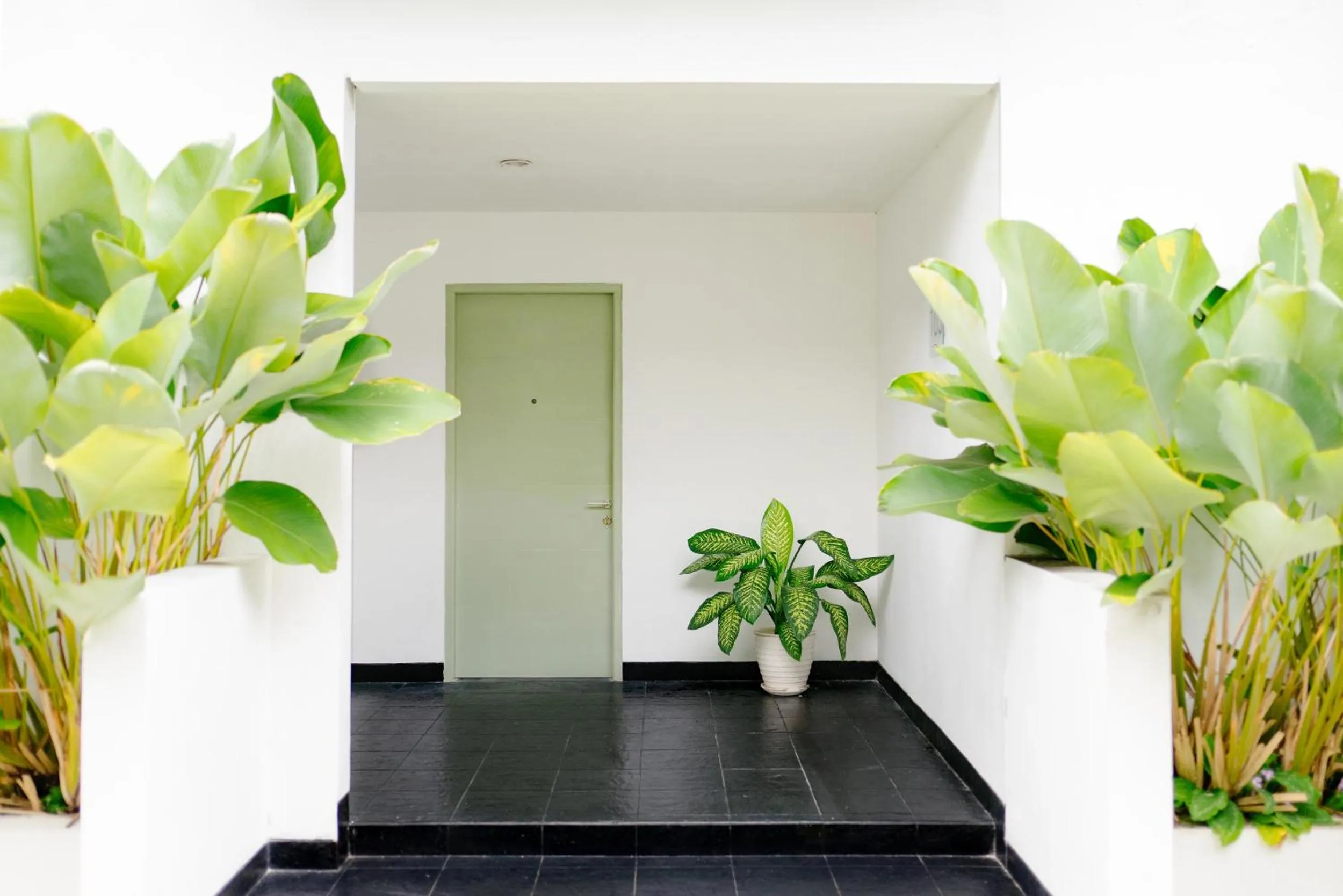 Balcony/Terrace in Naraséna Co-Living