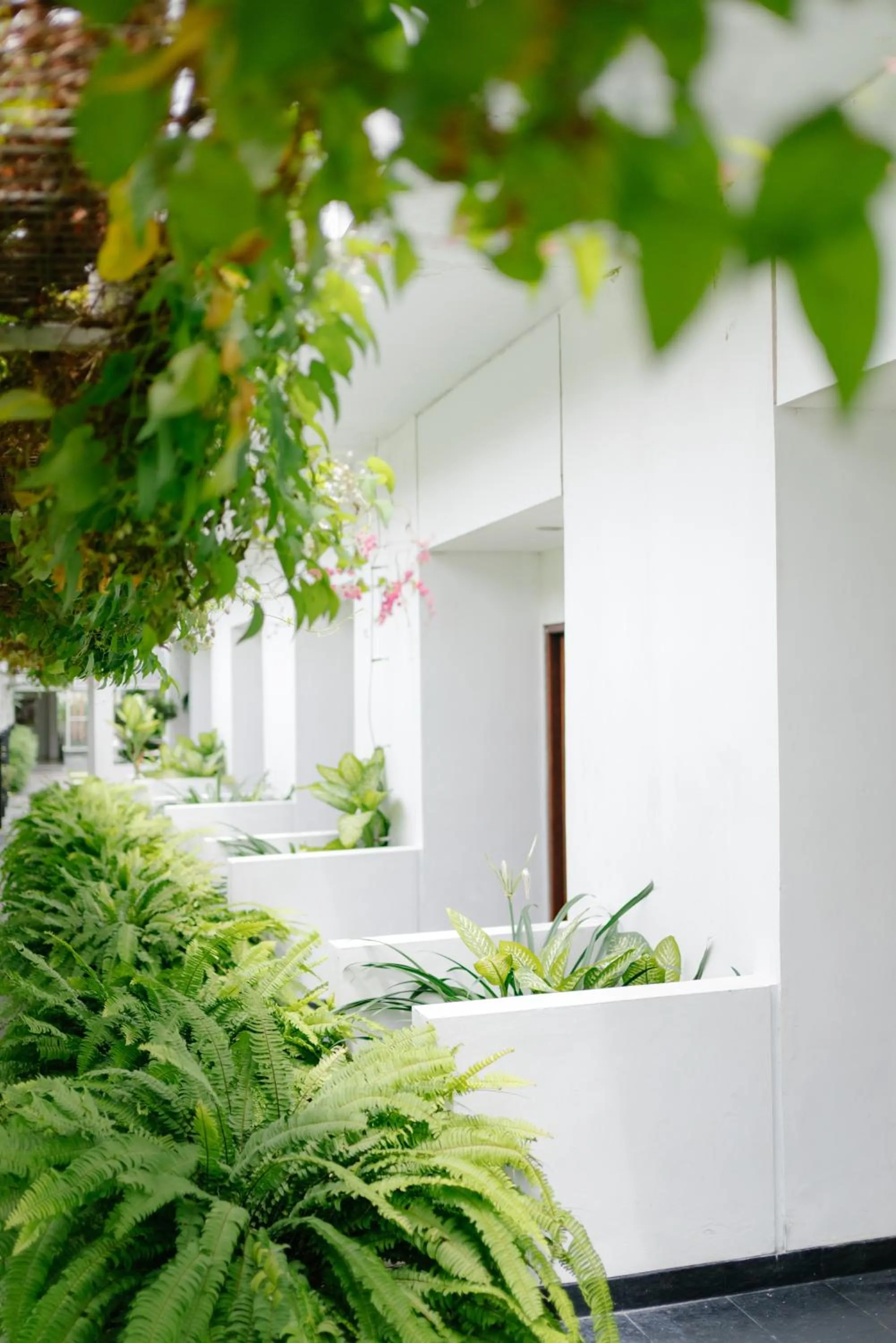 Property building in Naraséna Co-Living