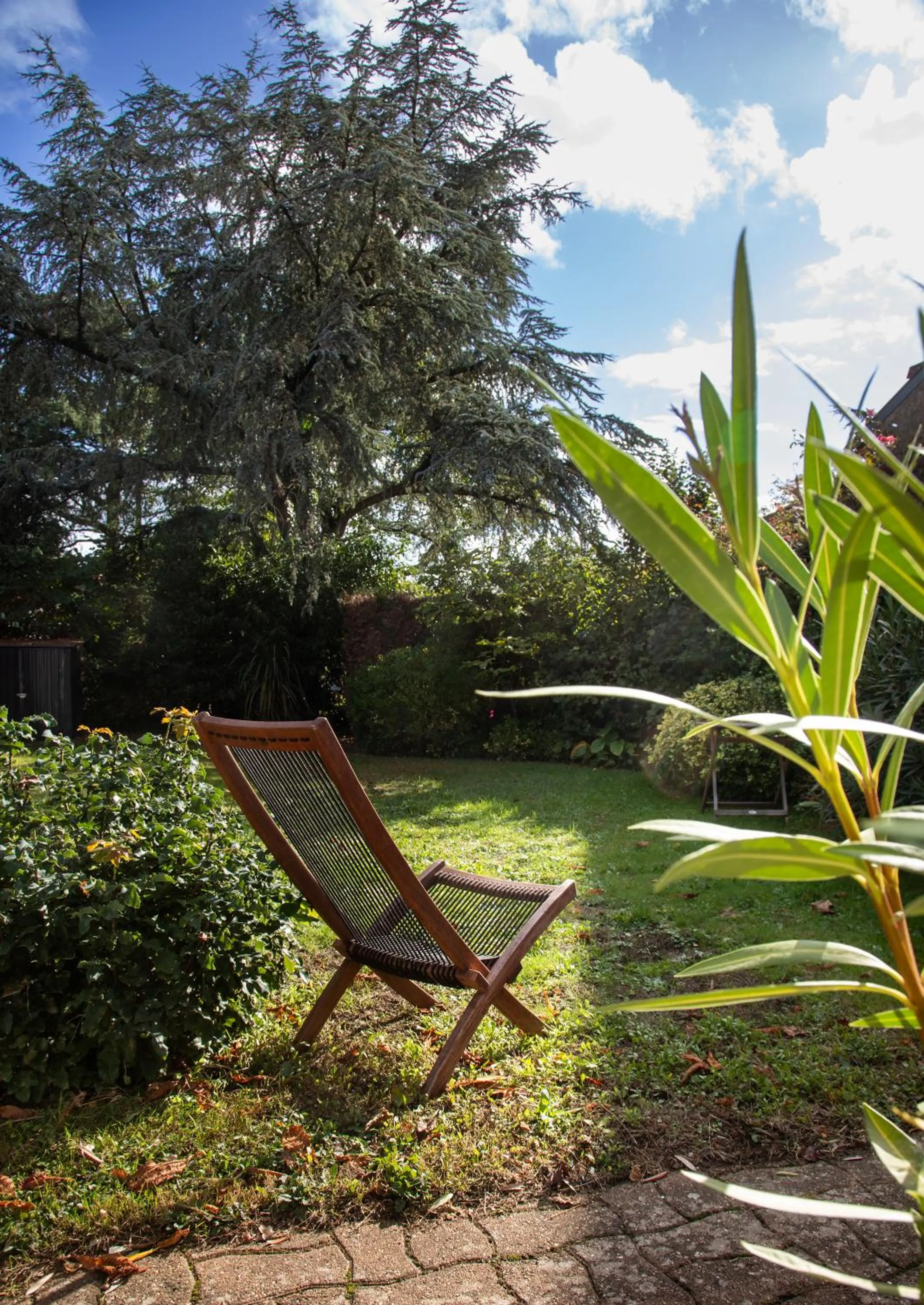 Garden in Clair de Lie